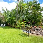 Maui Banyan