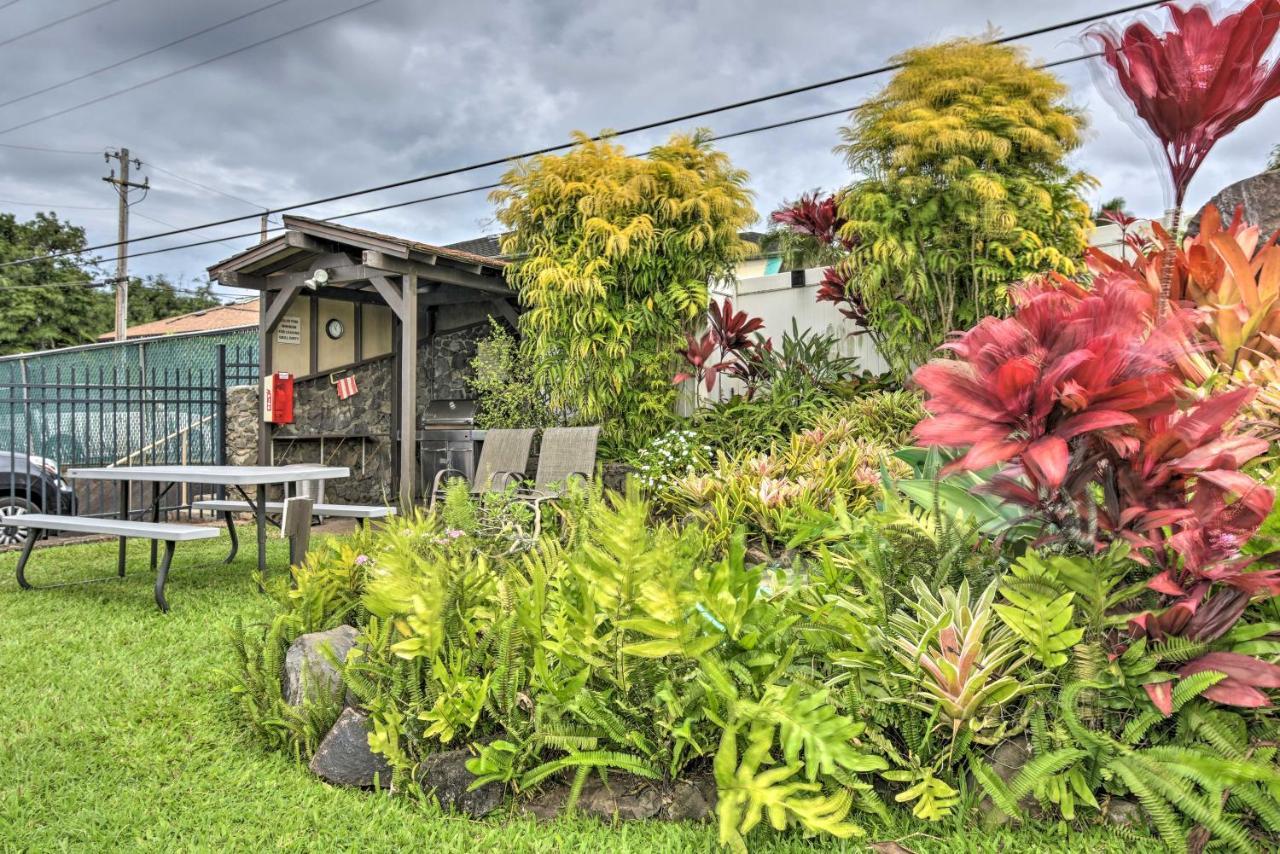 Comfy Tropical With Pool - Walk To Beach! Apartment *