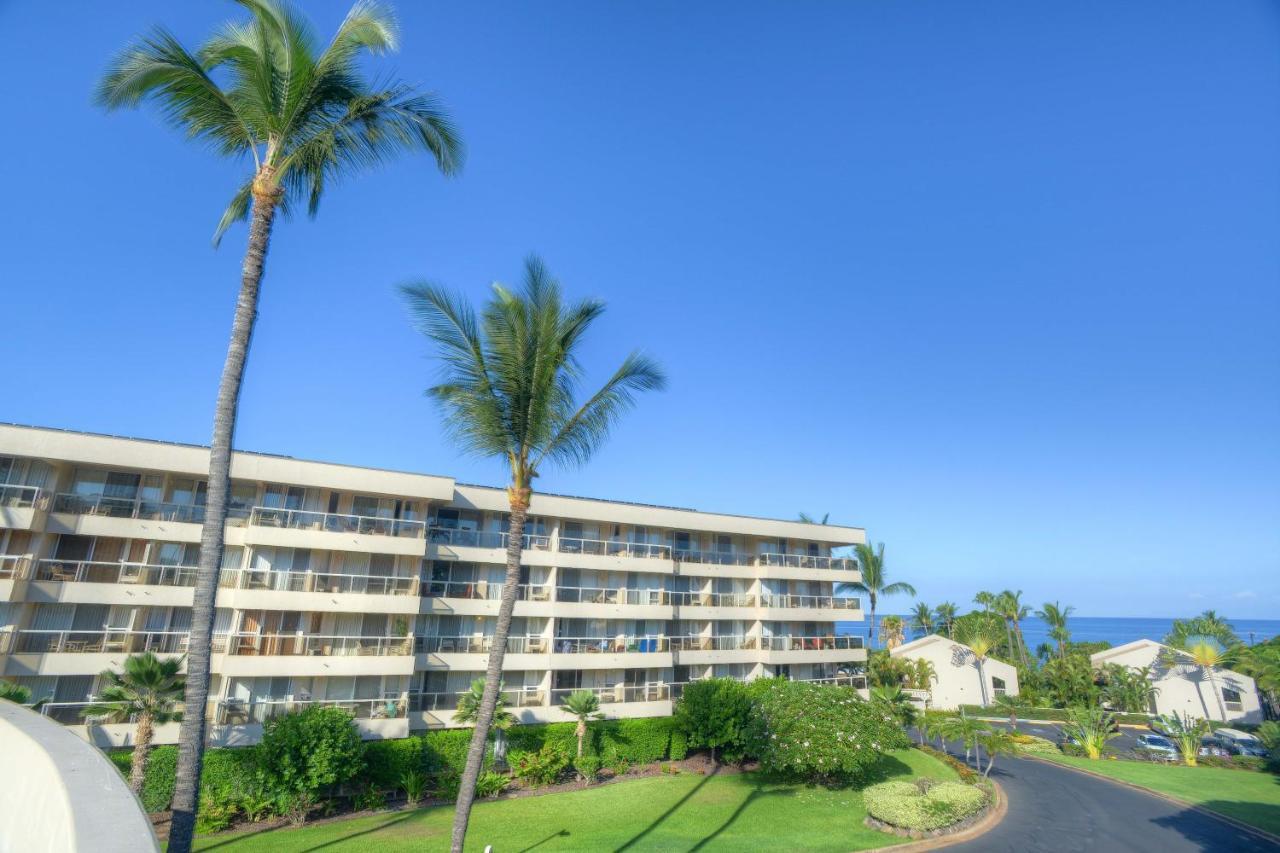 Maui Banyan
