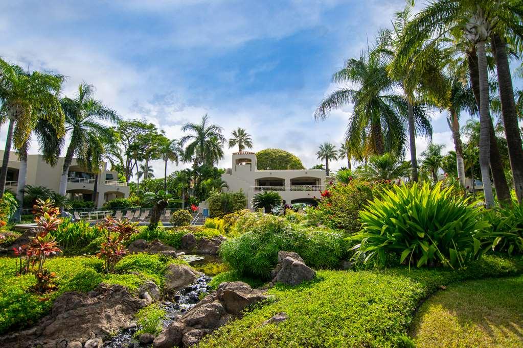 Apartment Palms At Wailea