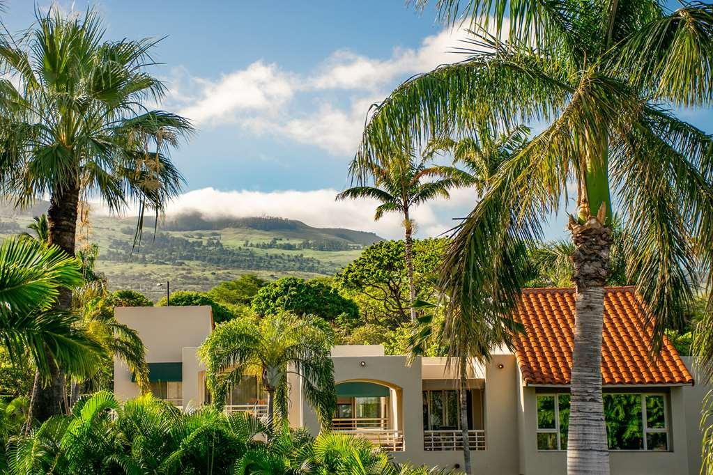 Palms At Wailea Apartment Wailea (Maui)