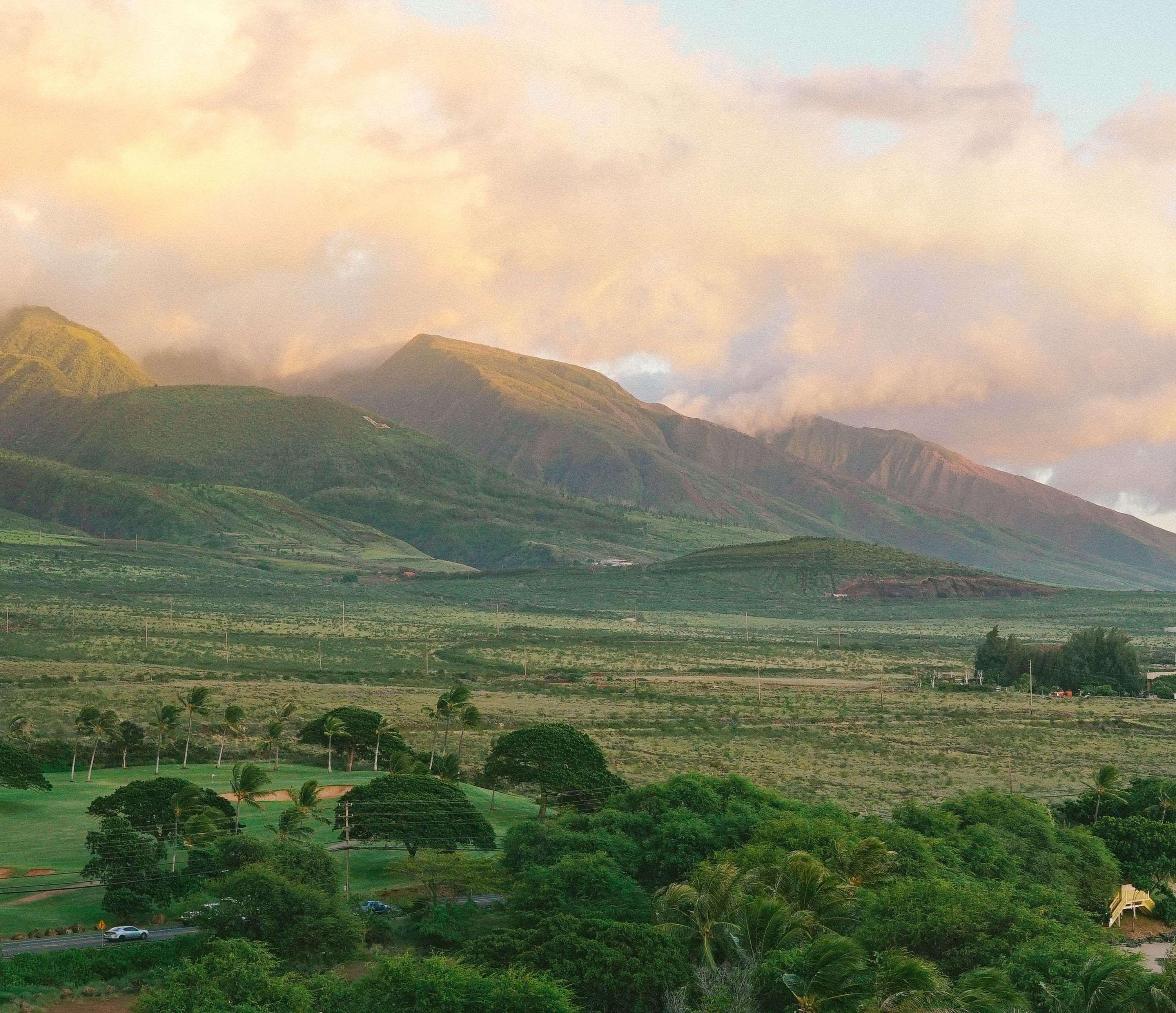 Resort Hyatt Regency Maui &