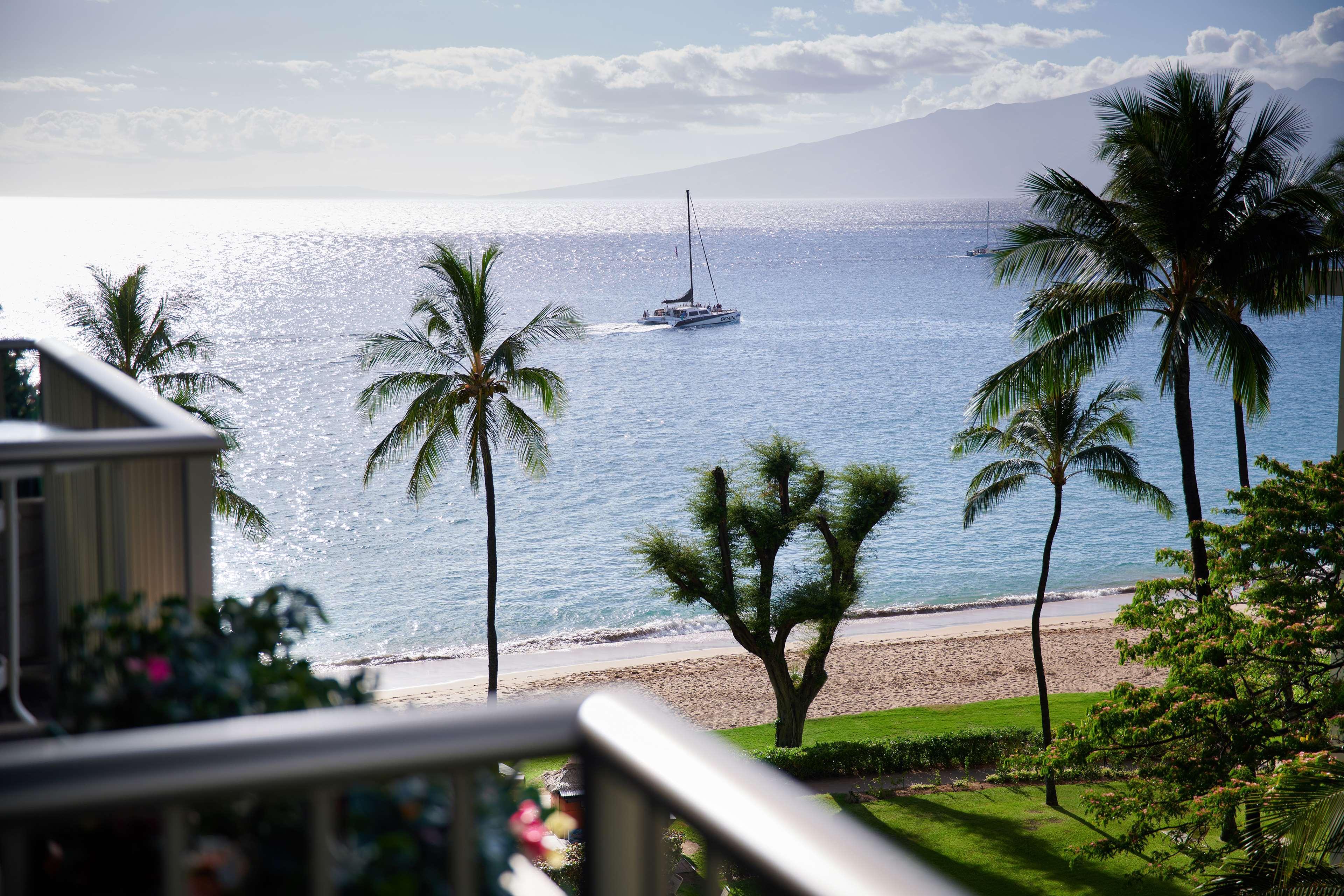 Aston At The Whaler On Kaanapali