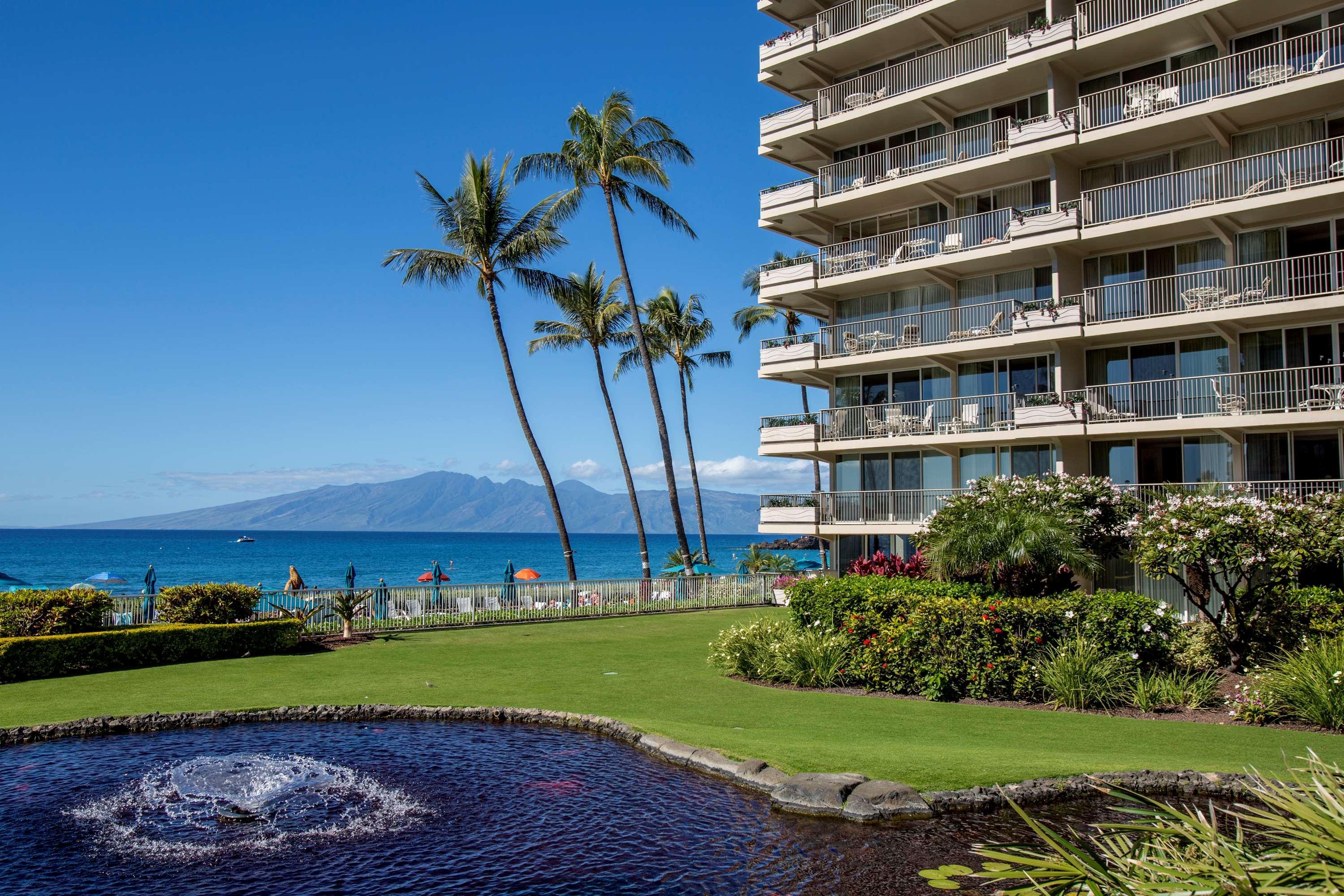 Aston At The Whaler On Kaanapali Lahaina