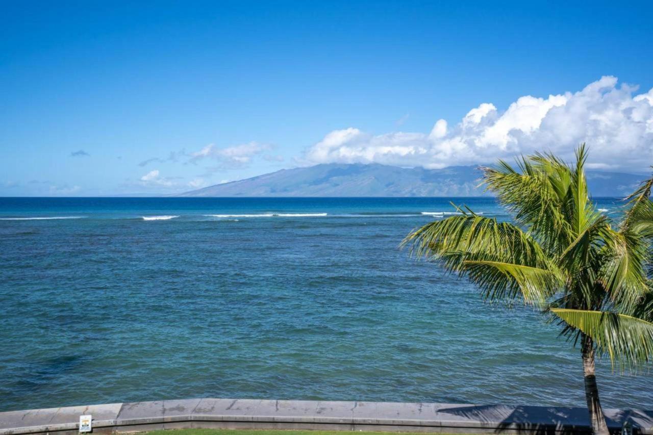 Reef By Coldwell Banker Island Vacations Apartment