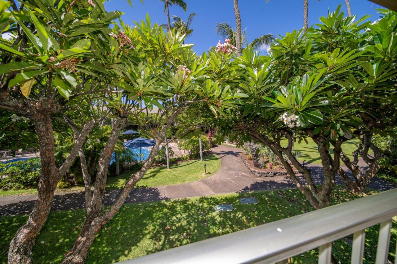 Napili Shores Maui By Outrigger - No & Housekeeping Fees Aparthotel Lahaina