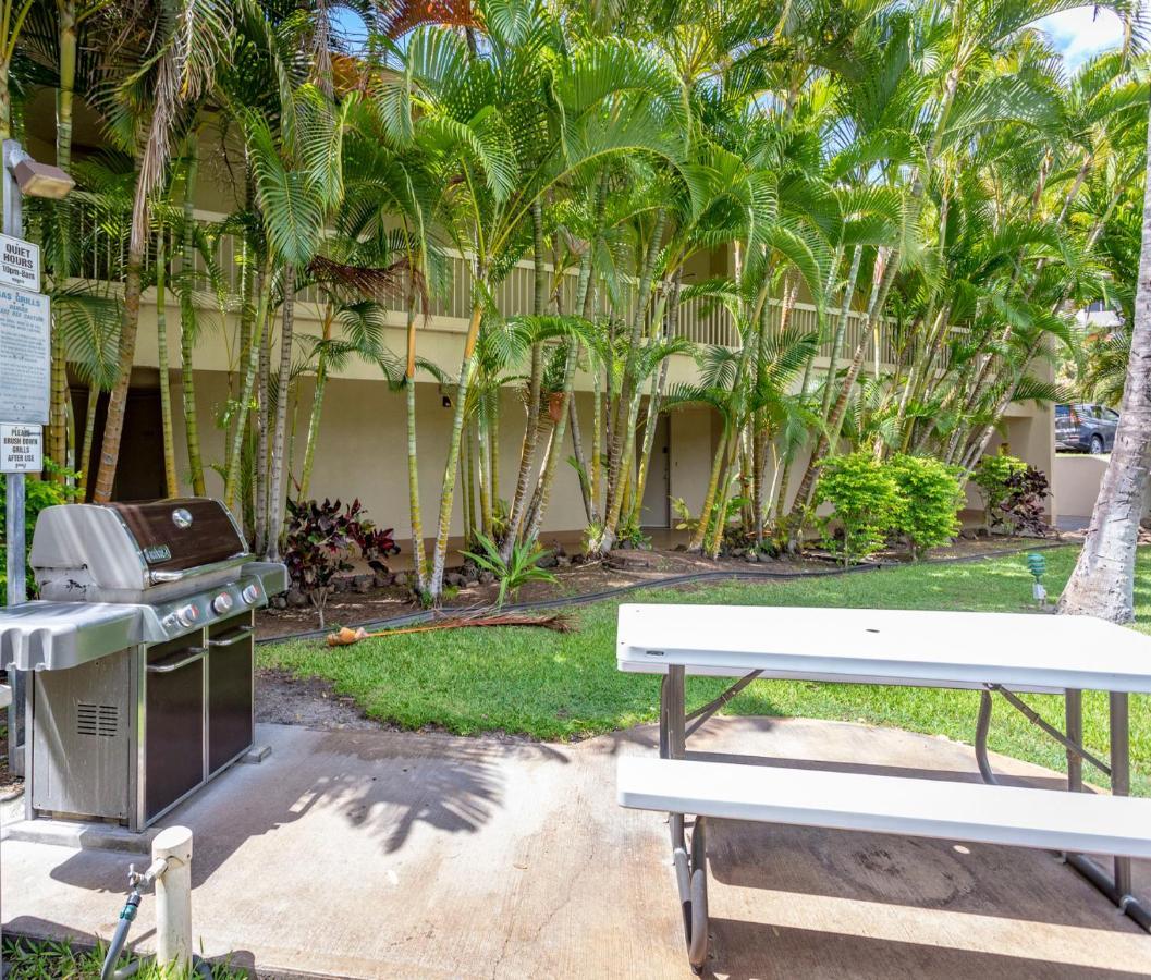 Maui Banyan