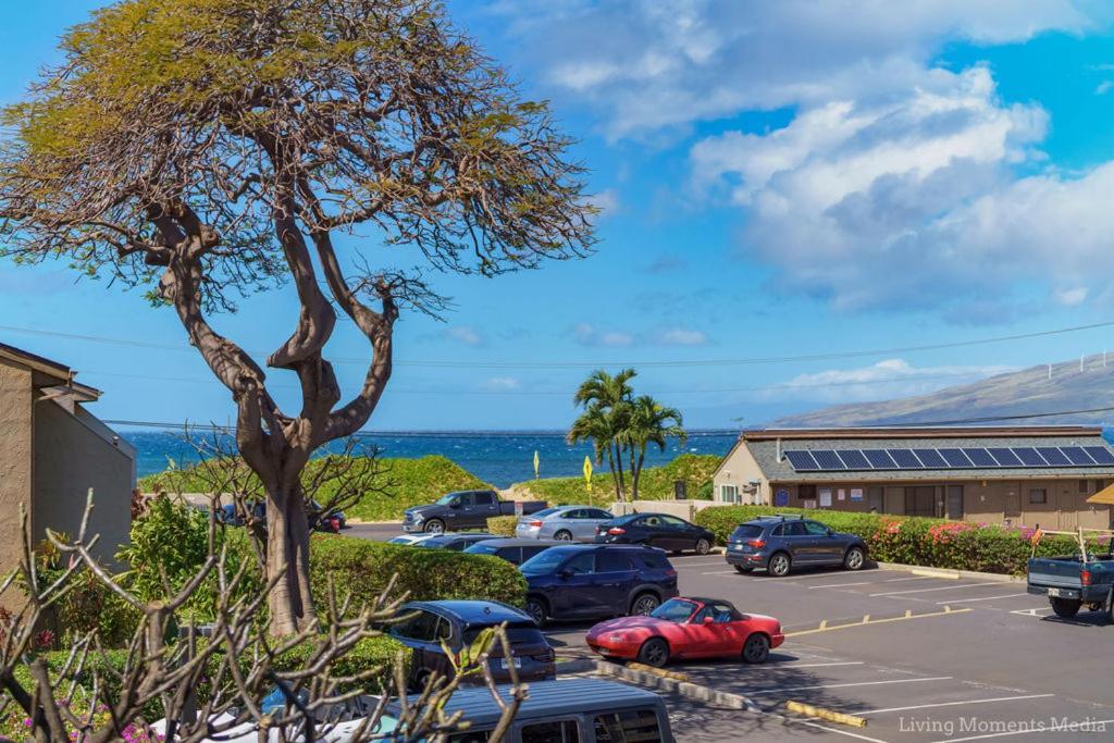 214 Apartment Kihei
