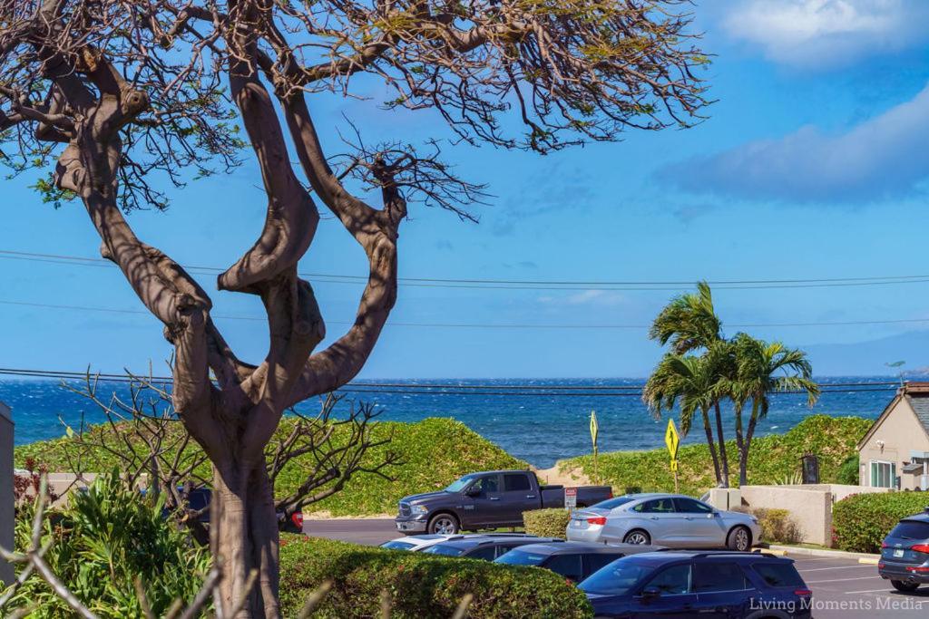 214 Apartment Kihei