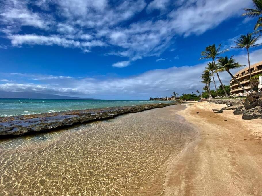 Oceanfront With Aircon-hear The Waves-amazing Views-wifi *