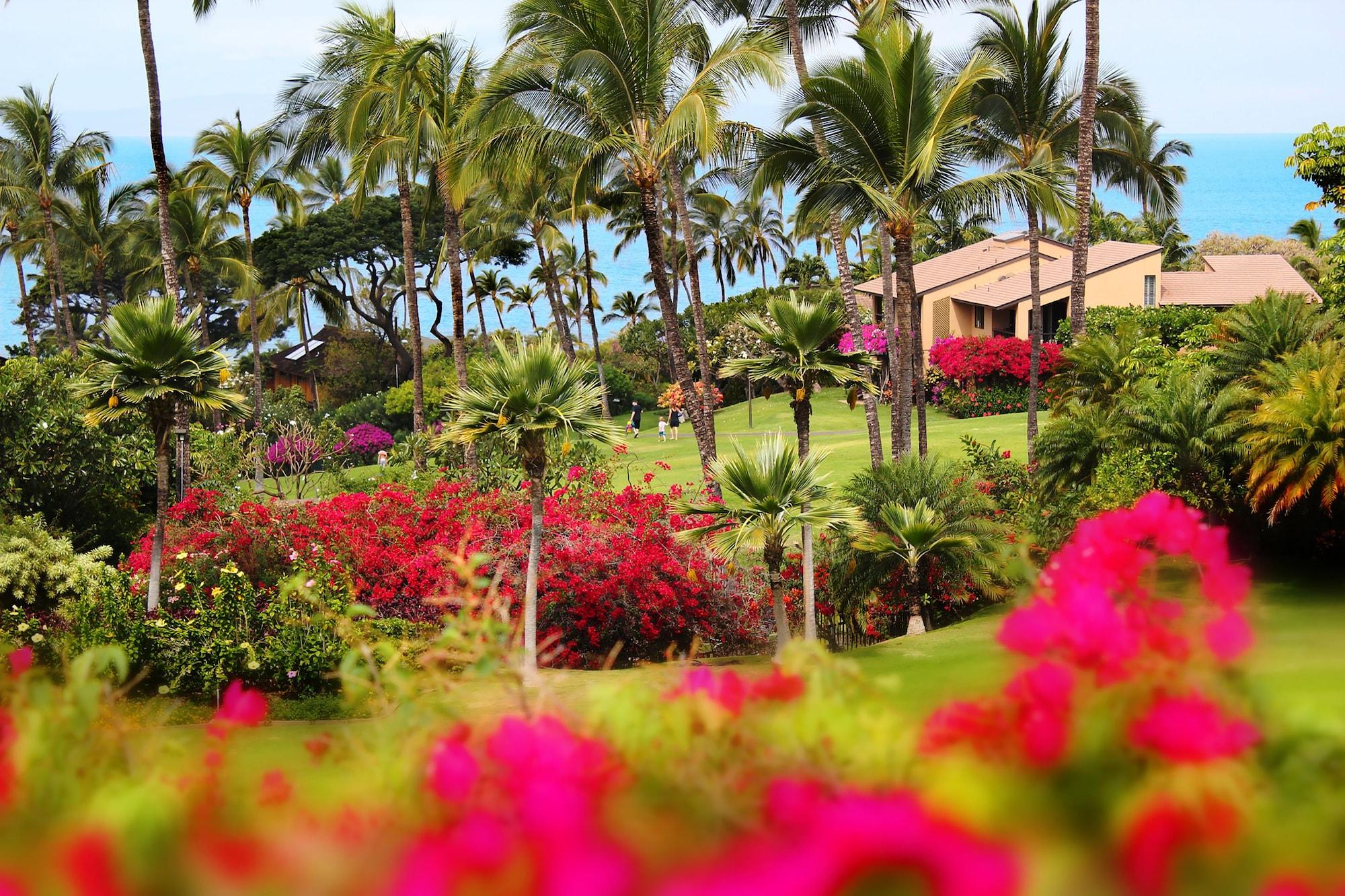 Resort Ekahi Village - Coraltree Collection