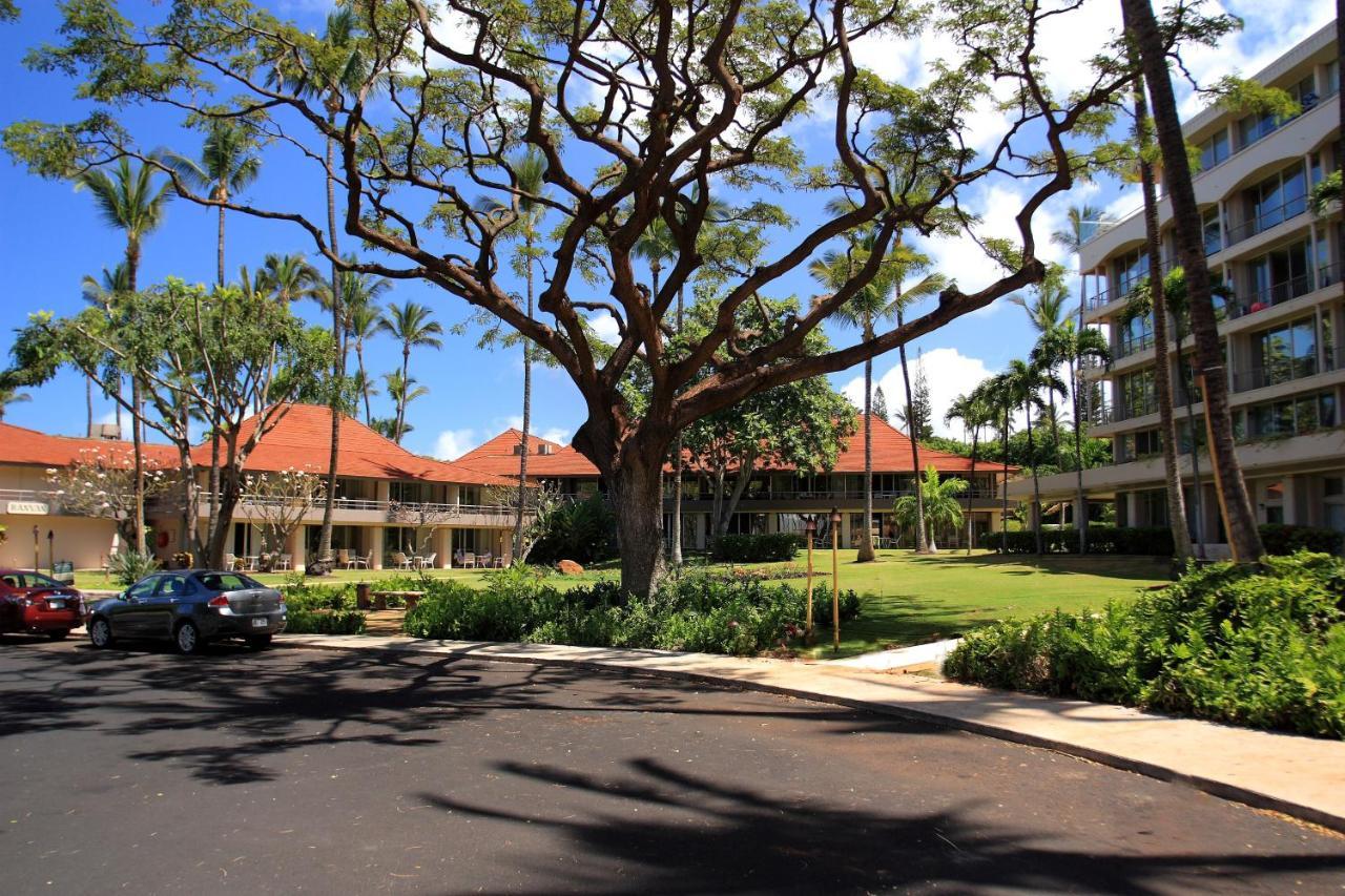 Maui Kaanapali E290 * Lahaina