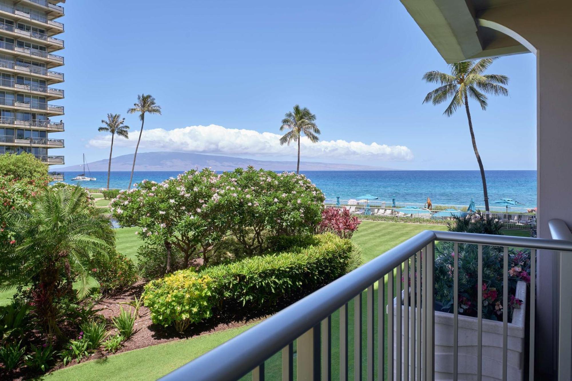 Aston At The Whaler On Kaanapali
