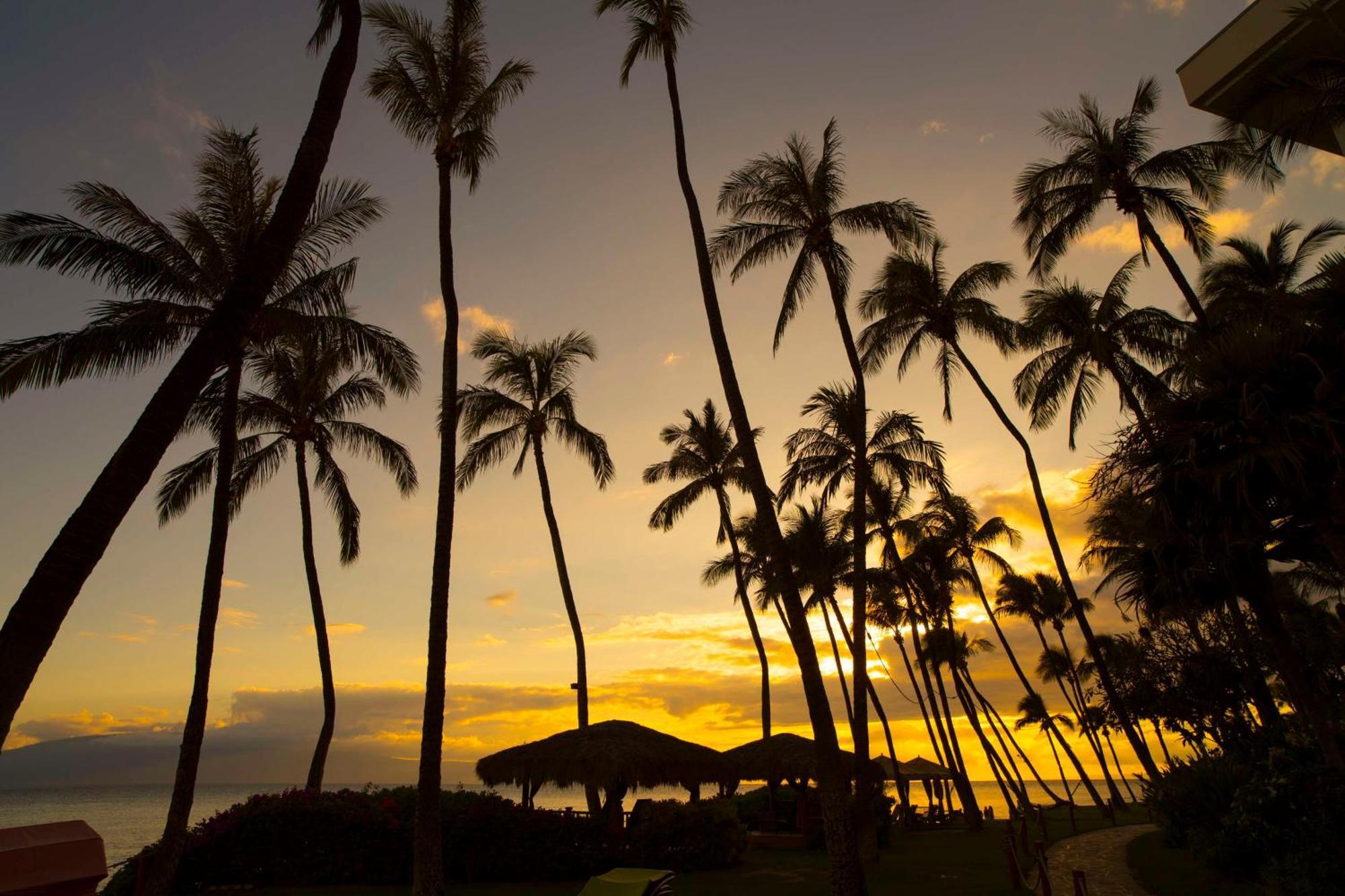 Hyatt Vacation Club At Ka'anapali Resort