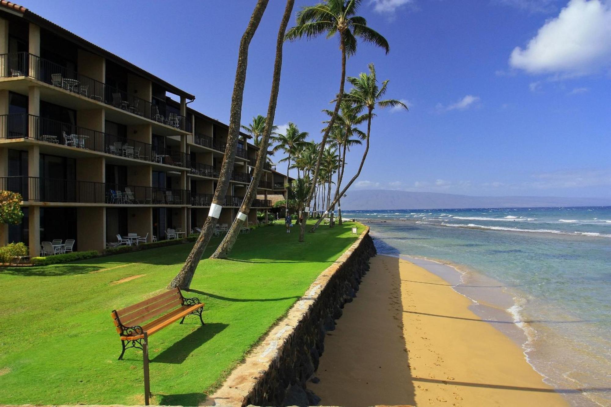 Papakea #g408 * Kahana