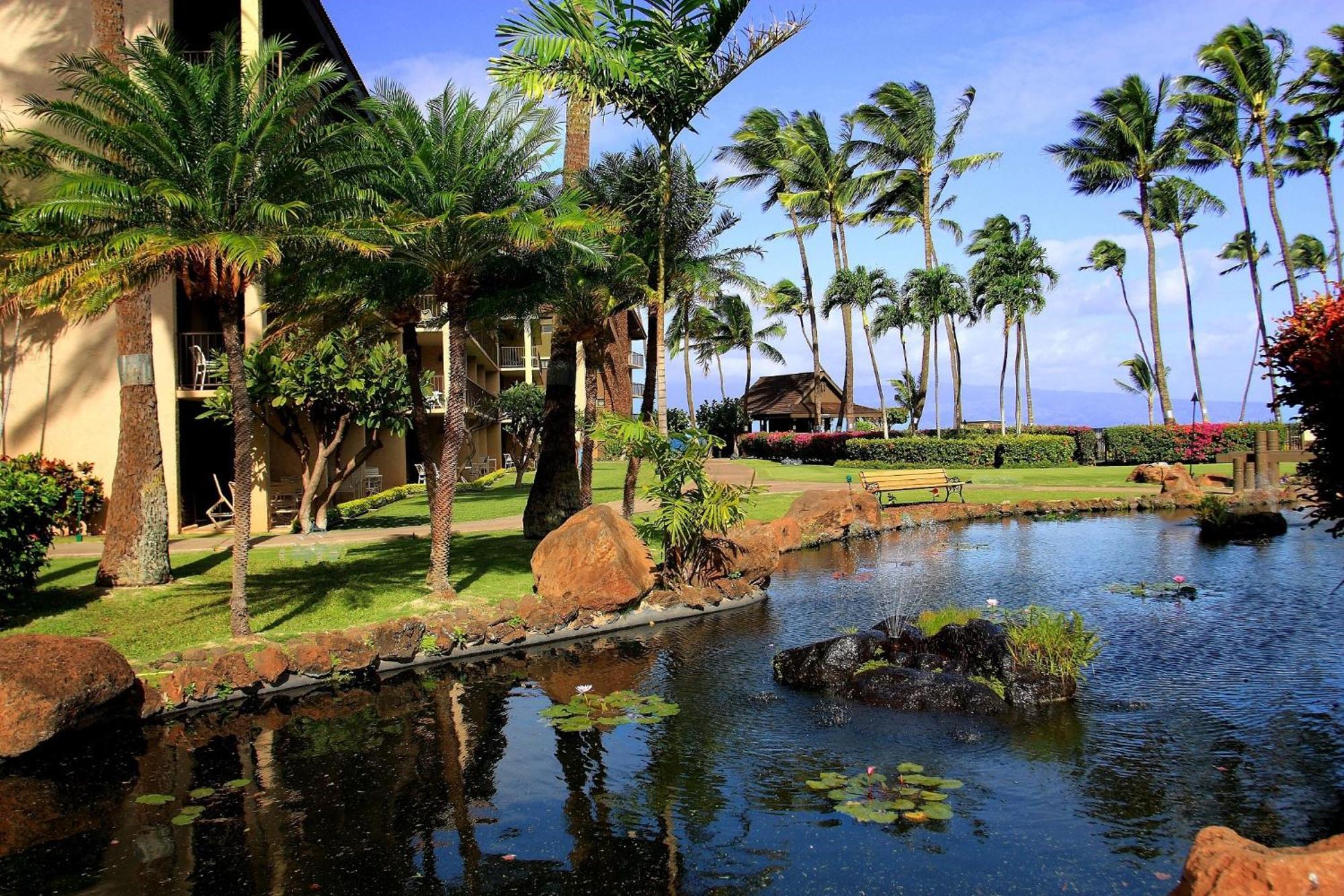 Papakea #g408 * Kahana