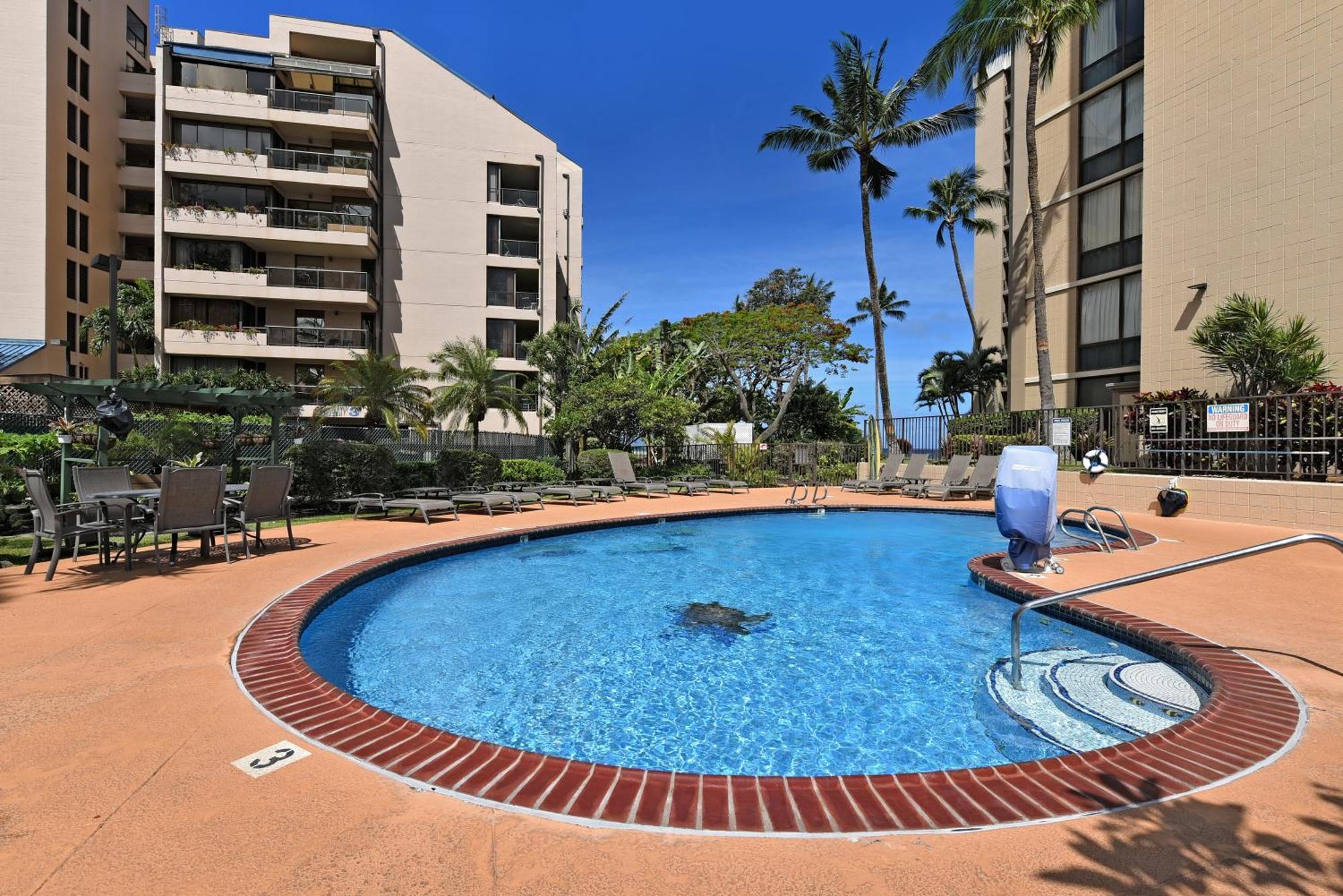 Valley Isle #808 Apartment *