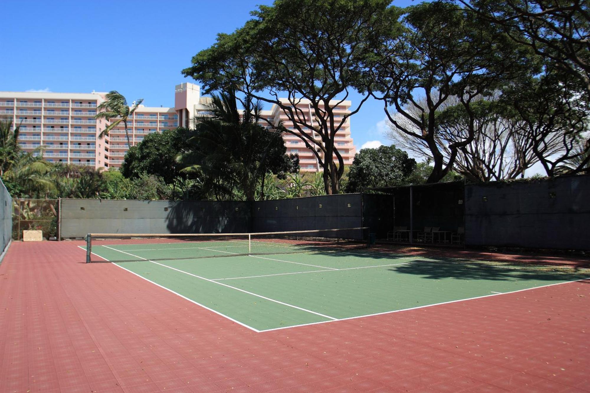 Apartment Mahana #1204 Kahana