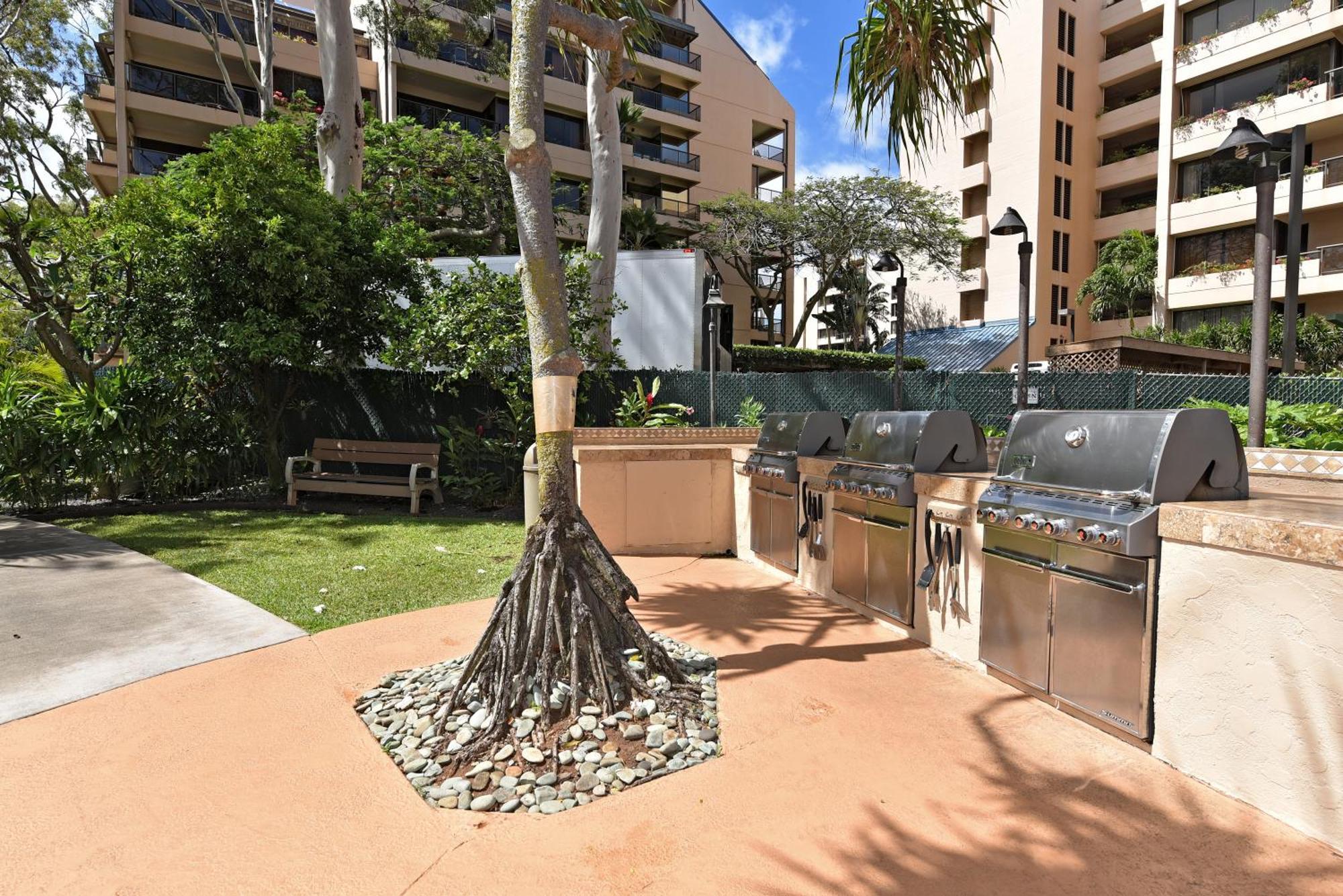 Valley Isle #808