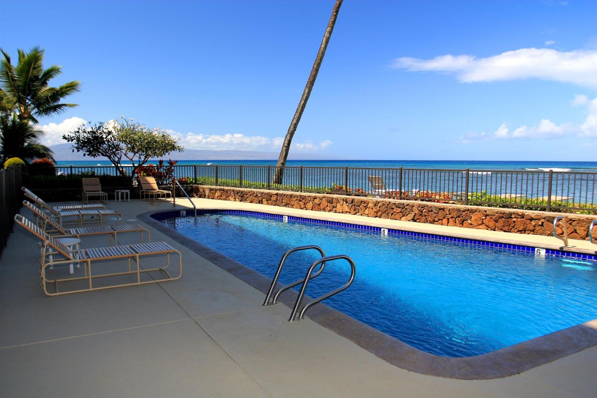 Apartment Reef #402 *