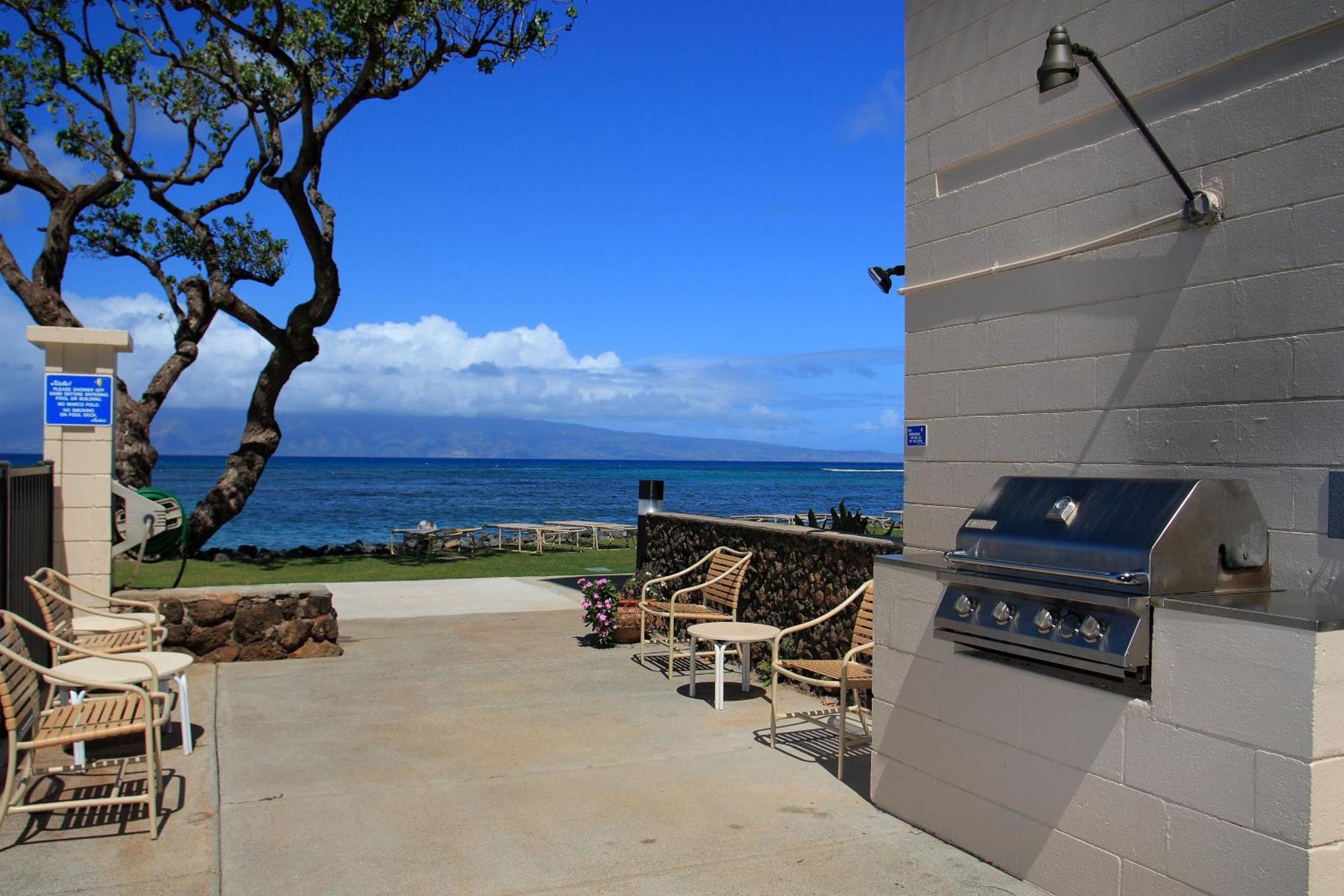 Reef #402 *