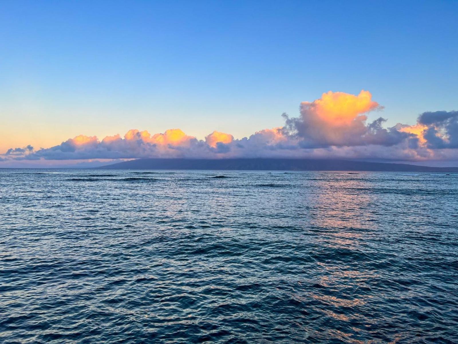 Reef By Coldwell Banker Island Vacations Apartment