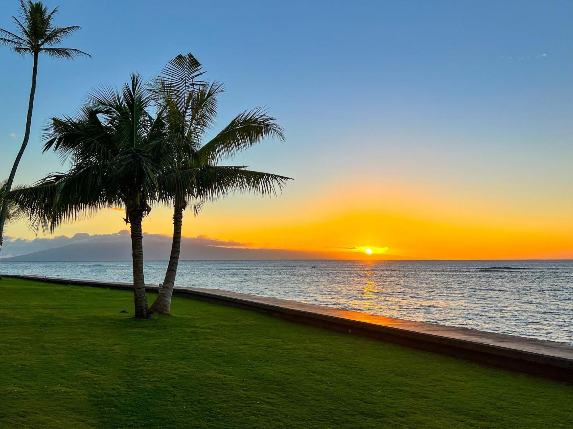 Apartment Reef By Coldwell Banker Island Vacations *