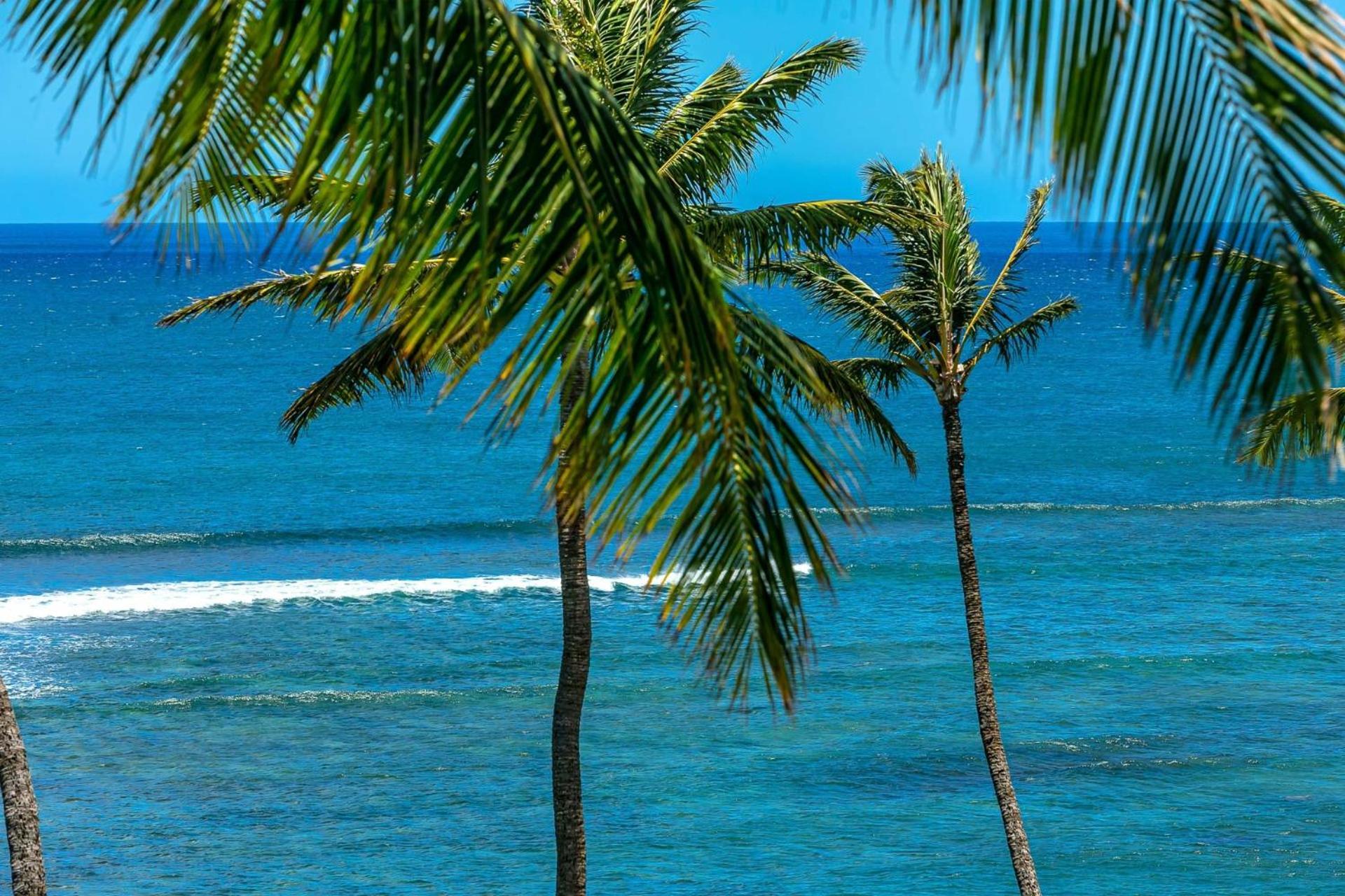 Island Sands By Coldwell Banker Island Vacations Apartment