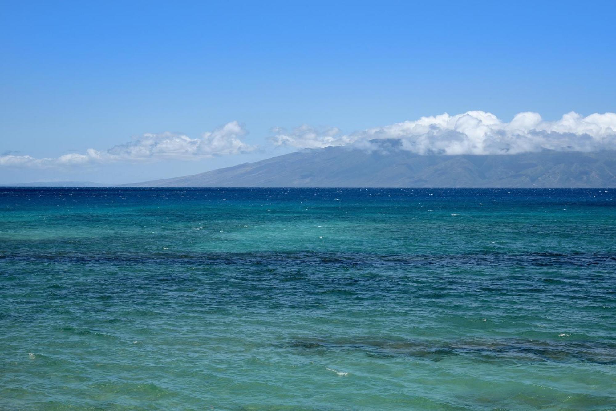 Apartment Papakea #a201 Kahana