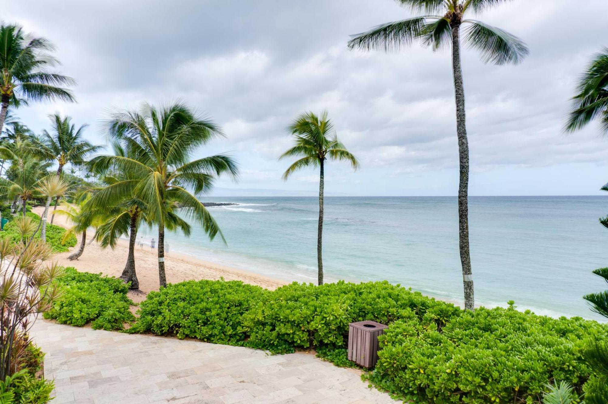 The Mauian 3*