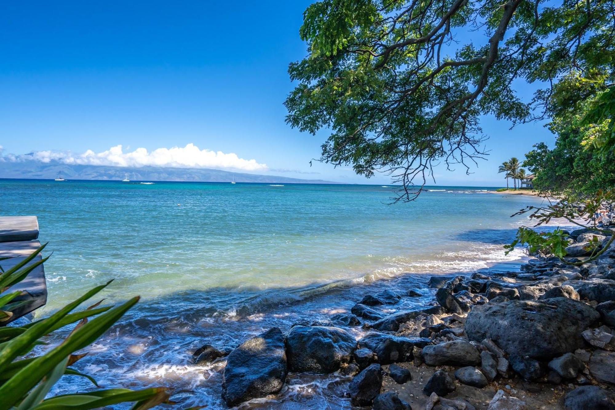 Apartment Reef By Coldwell Banker Island Vacations *