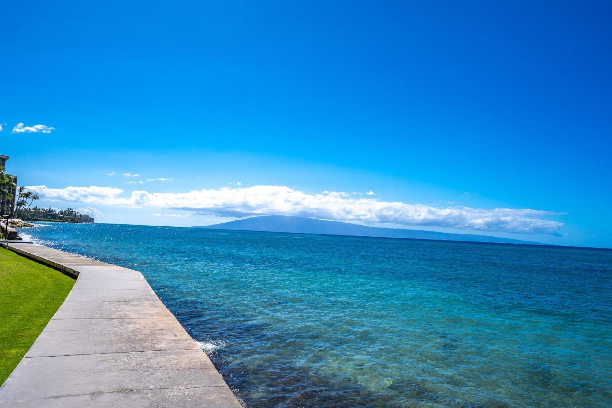 Apartment Reef By Coldwell Banker Island Vacations