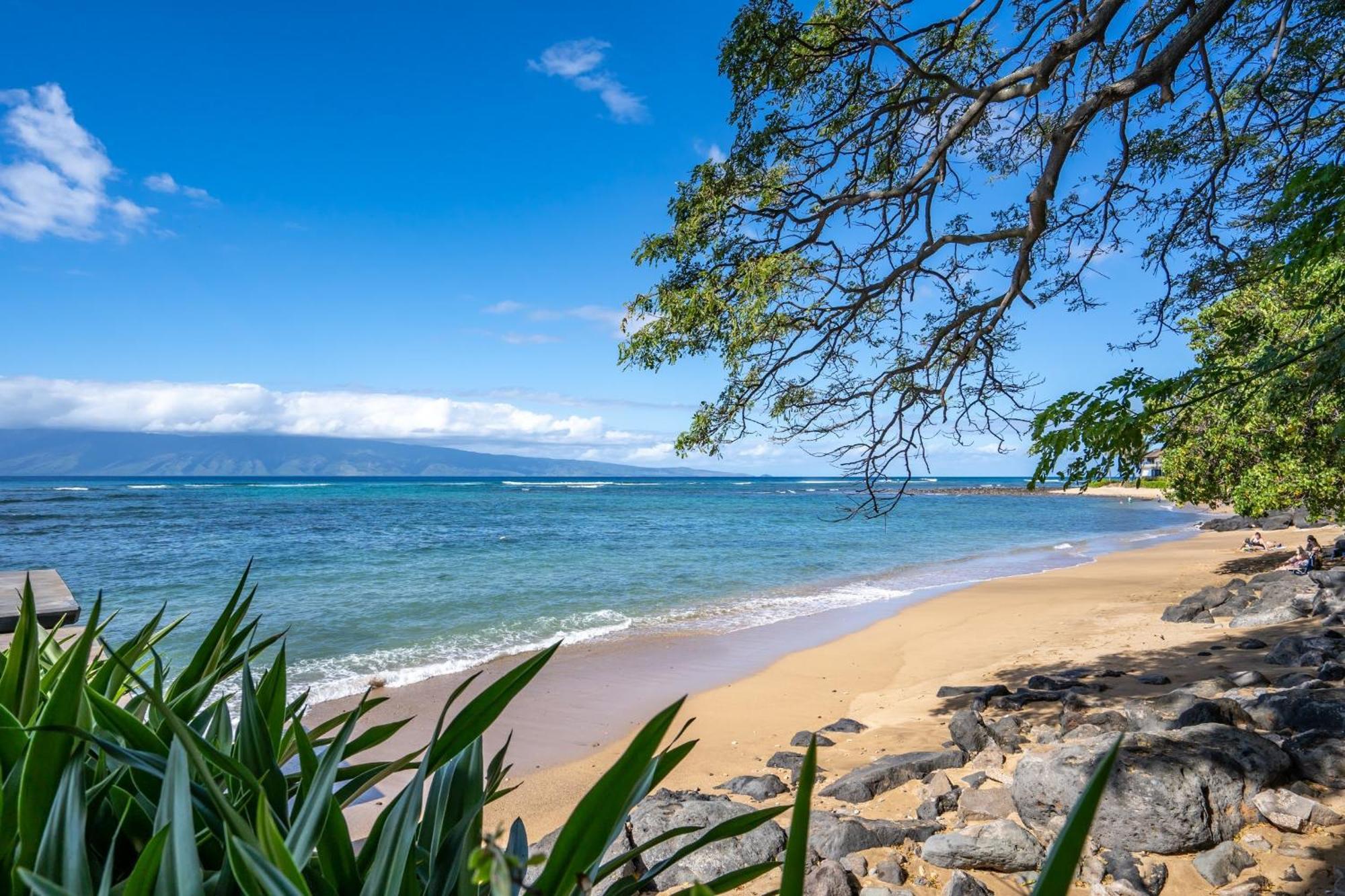 Reef By Coldwell Banker Island Vacations Apartment *