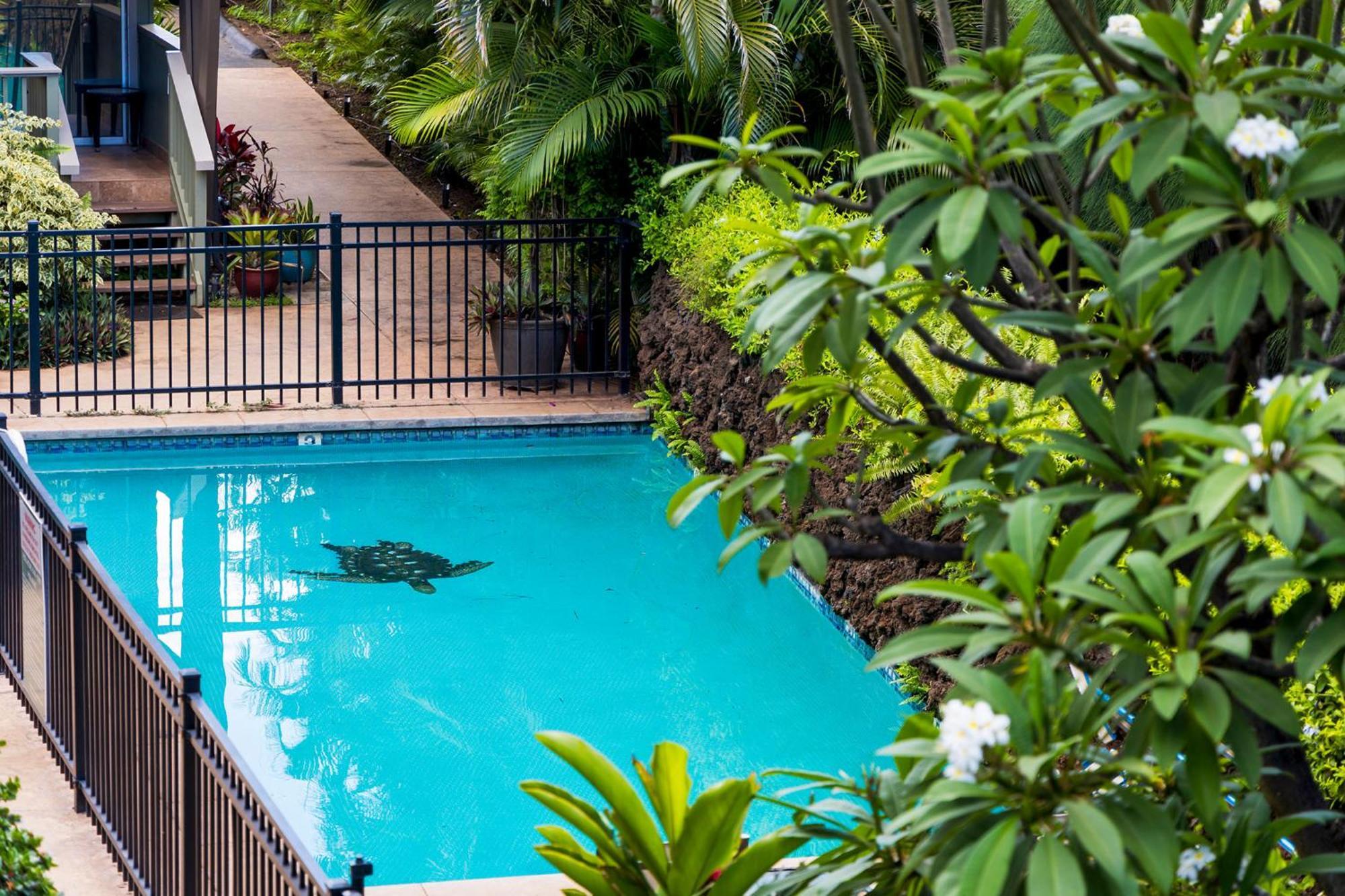 Kai Oceanfront * Kihei