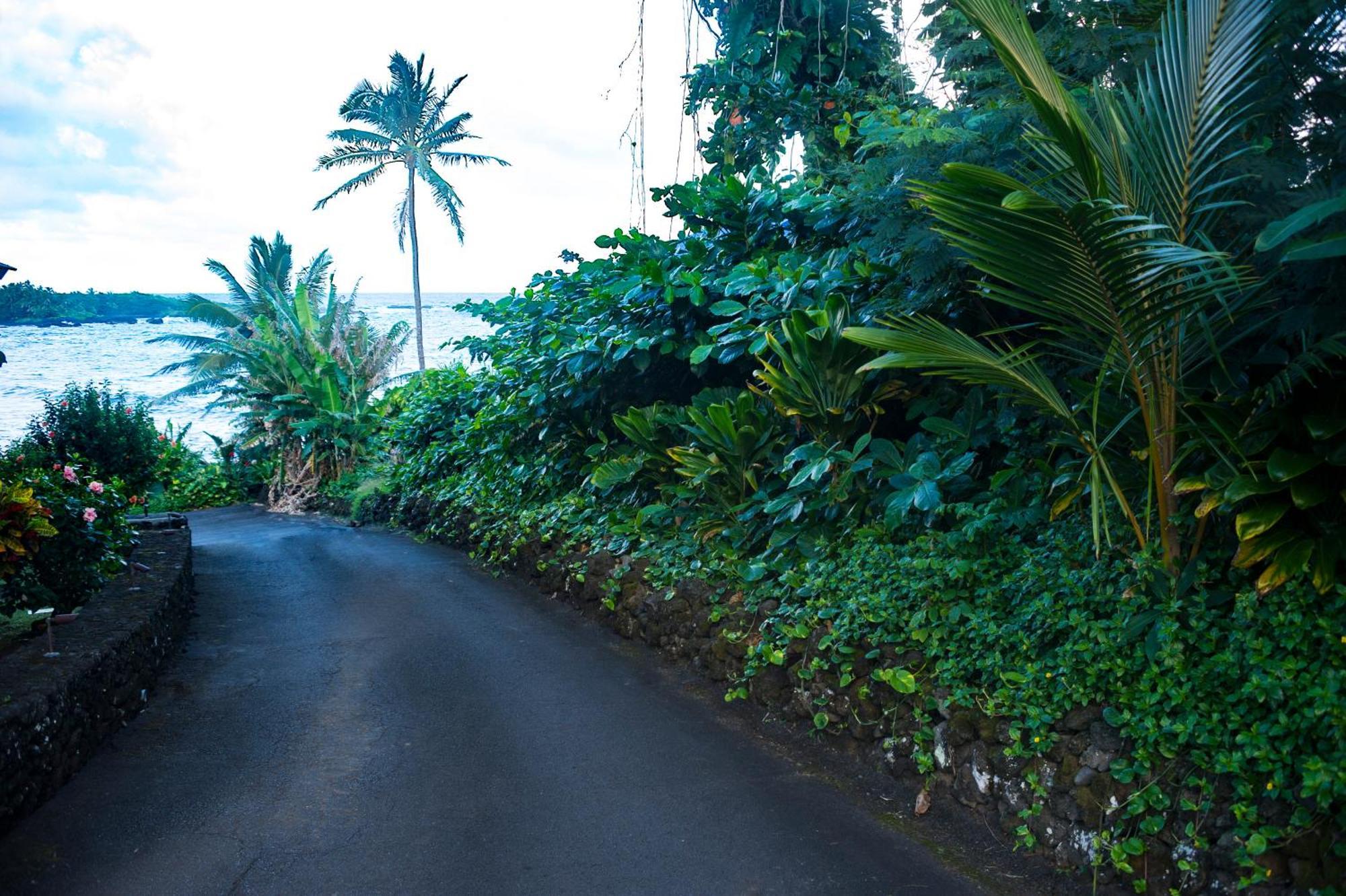 Kai Maui - #104 Haneoʻo