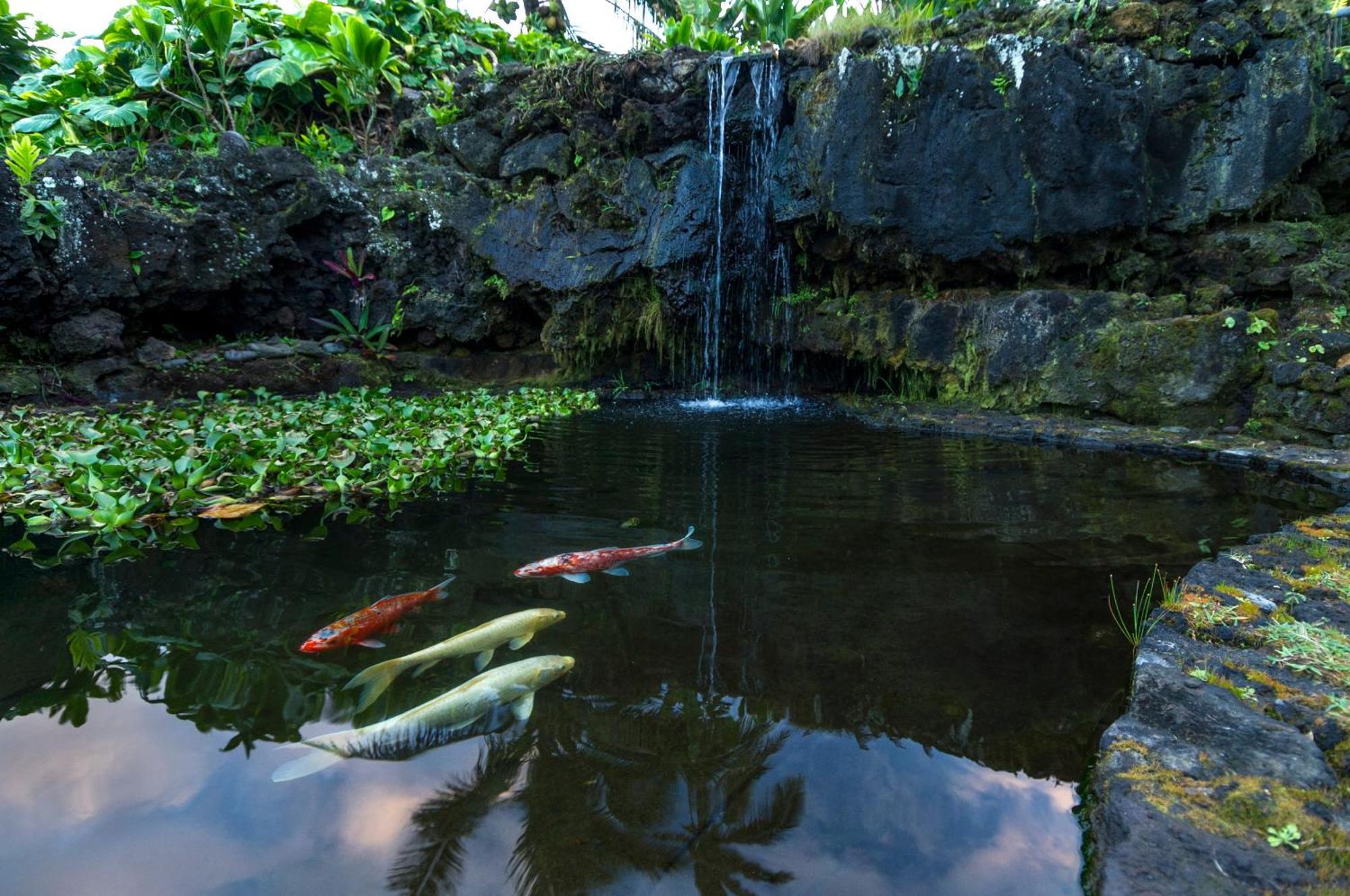 Kai Maui - #104 Haneoʻo Hana