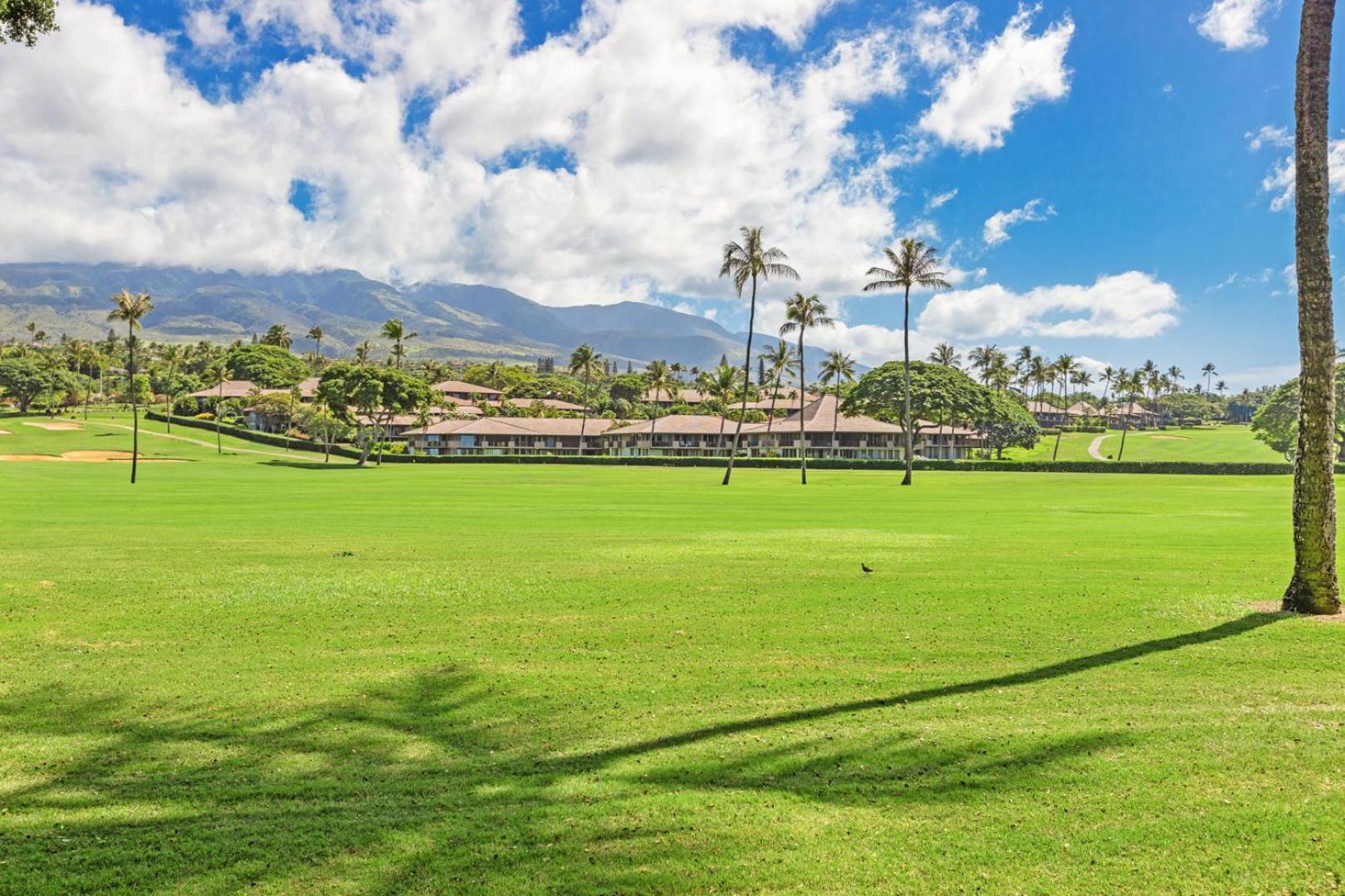 Resort Maui Eldorado - L-105 - *