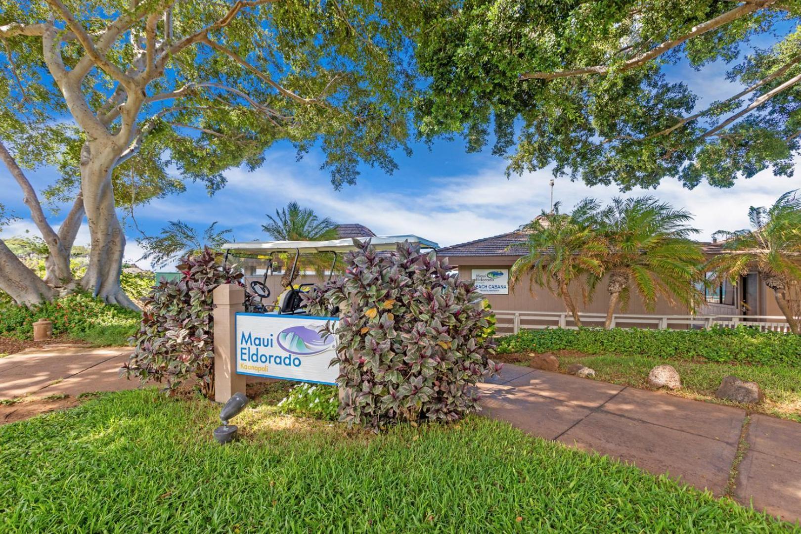 Maui Eldorado - L-105 -