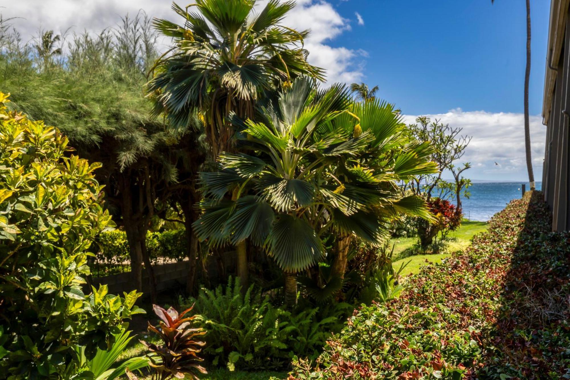 Kai Oceanfront Holiday home Kihei