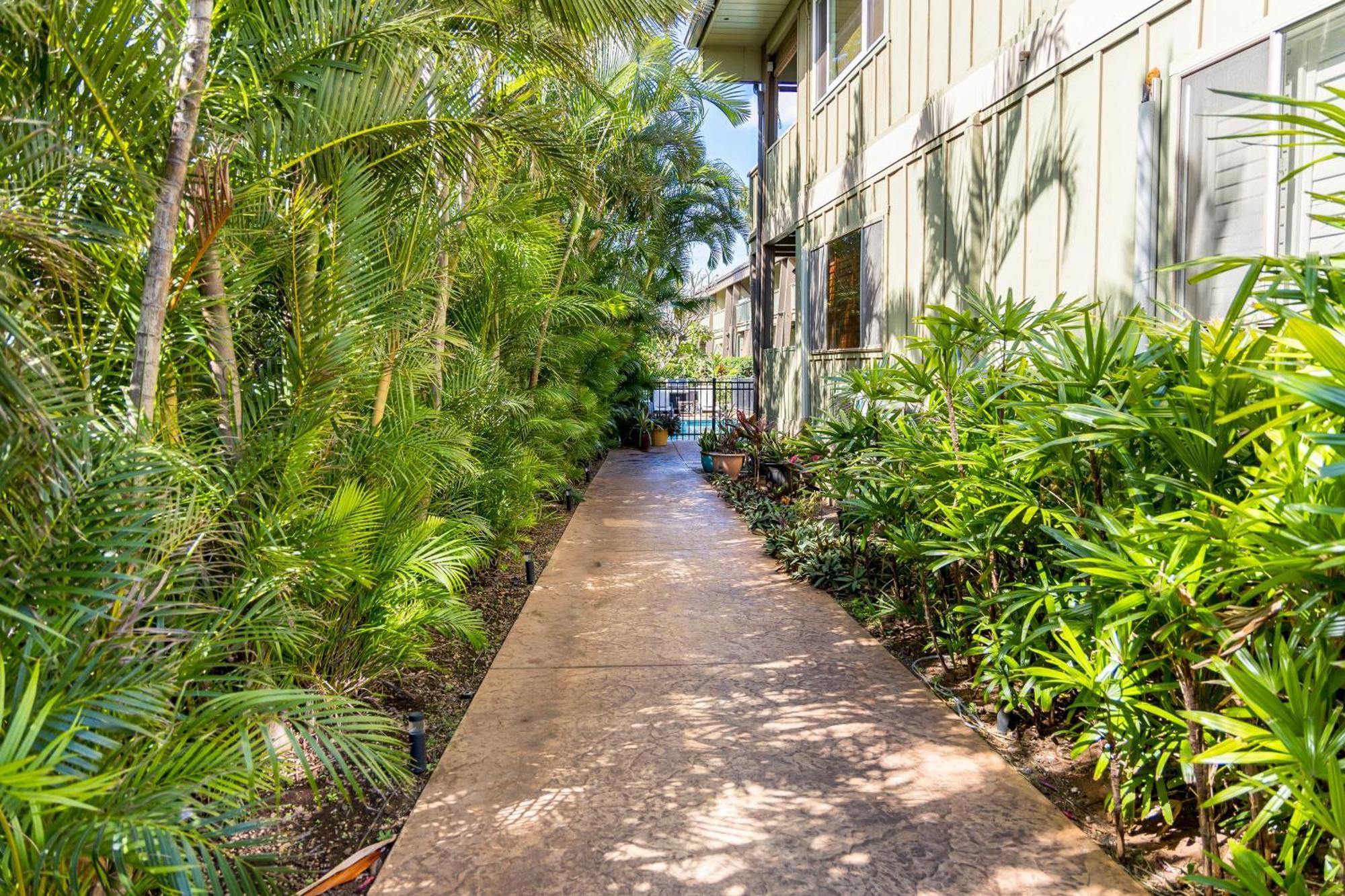 Kai Oceanfront Kihei