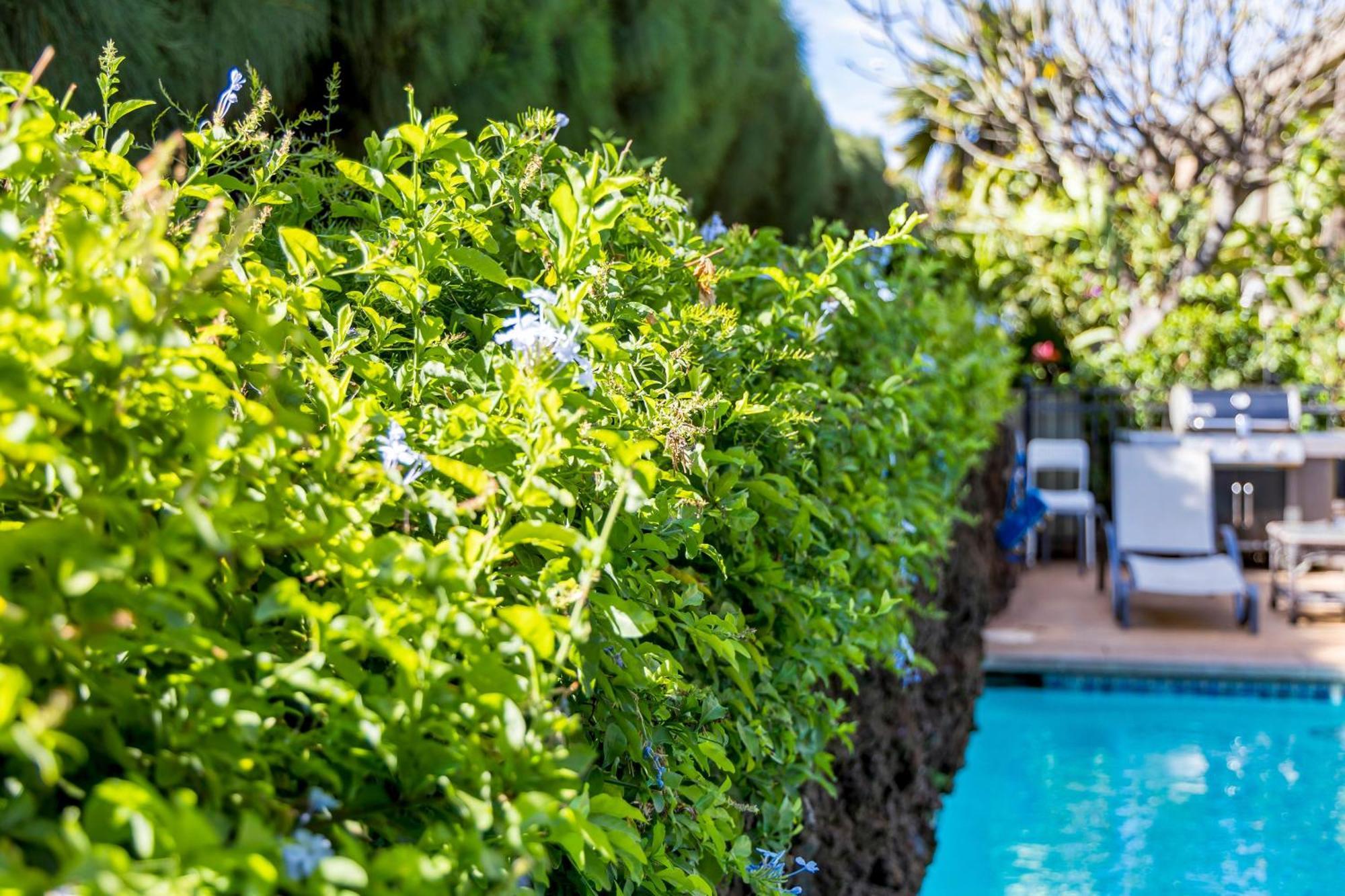 Kai Oceanfront Holiday home
