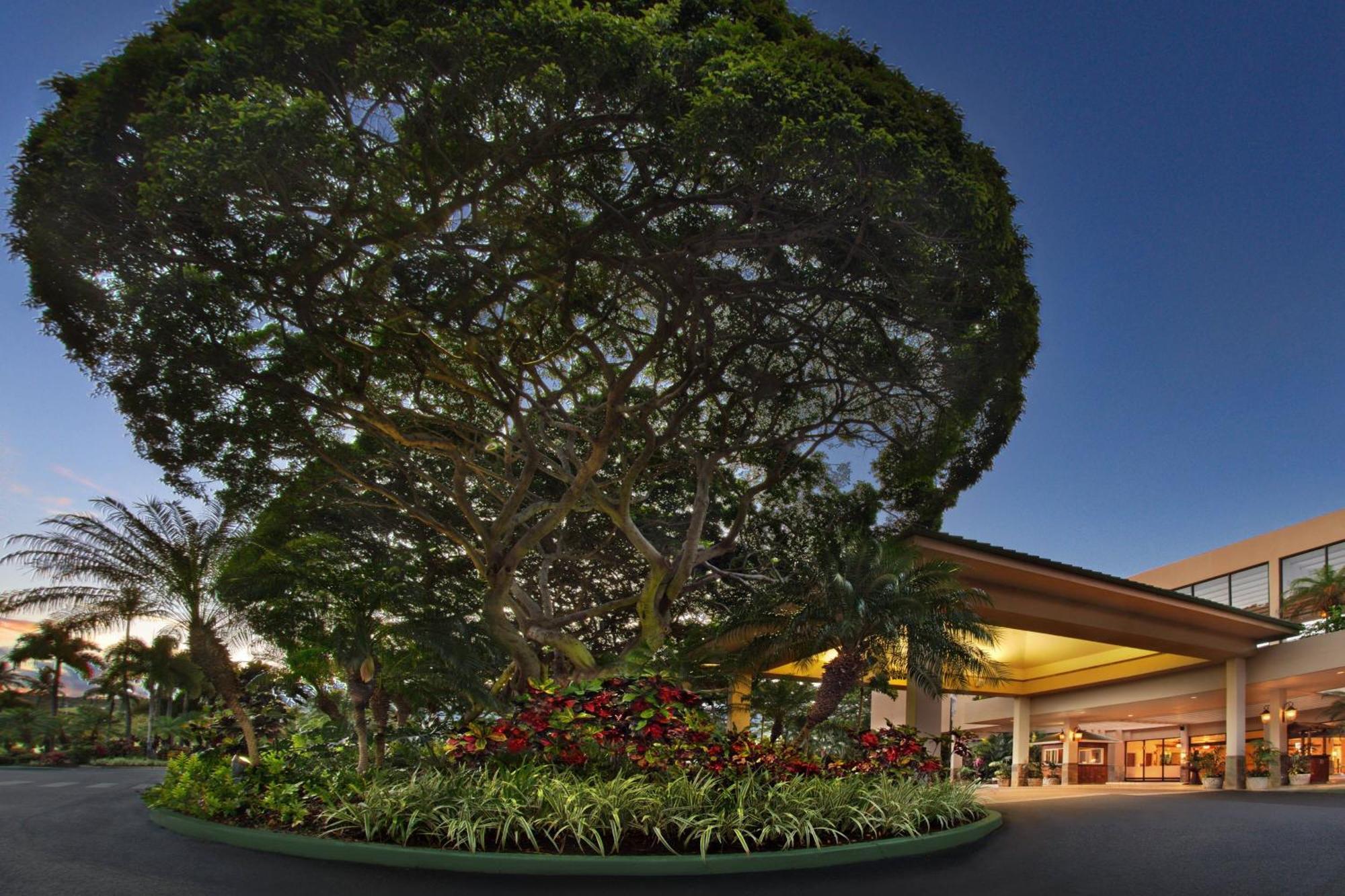 Marriott's Maui Ocean Club - & Napili Towers Hotel 4*