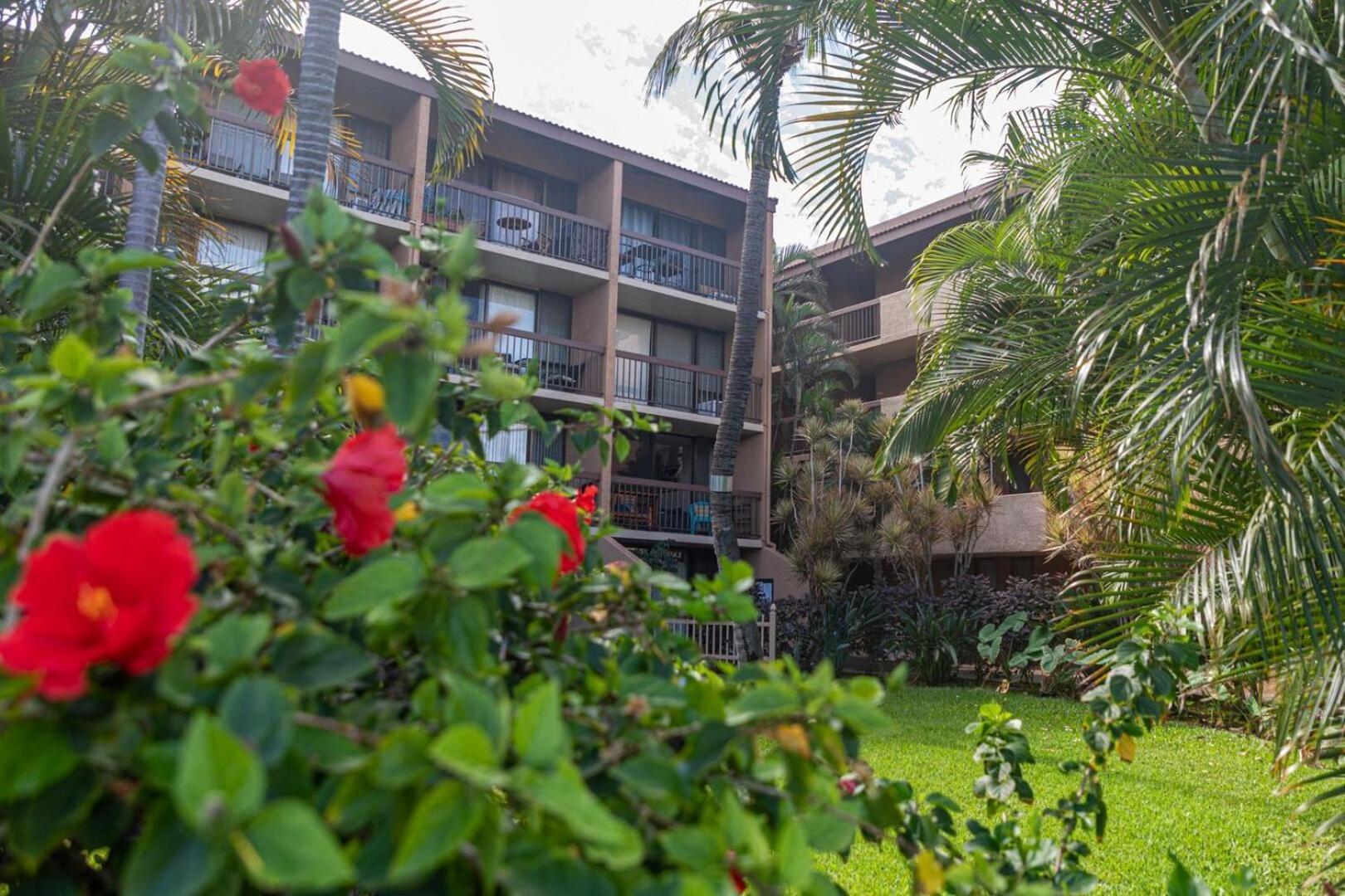 Maui Vista 1403 Holiday home *