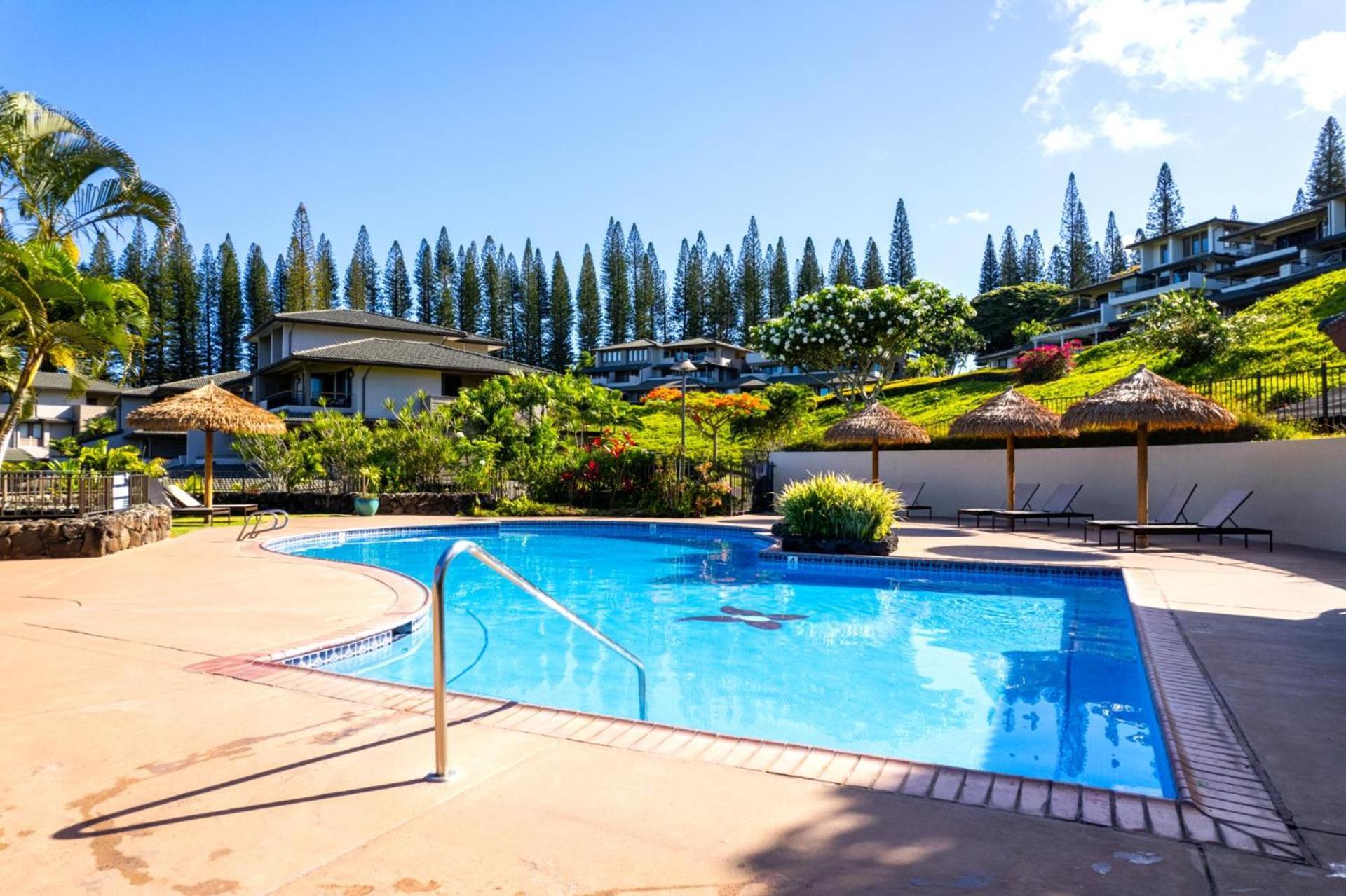 Kbm Free Car Golf Kgv-22p2 Luxury Platinum With Panoramic Ocean Views * Kapalua