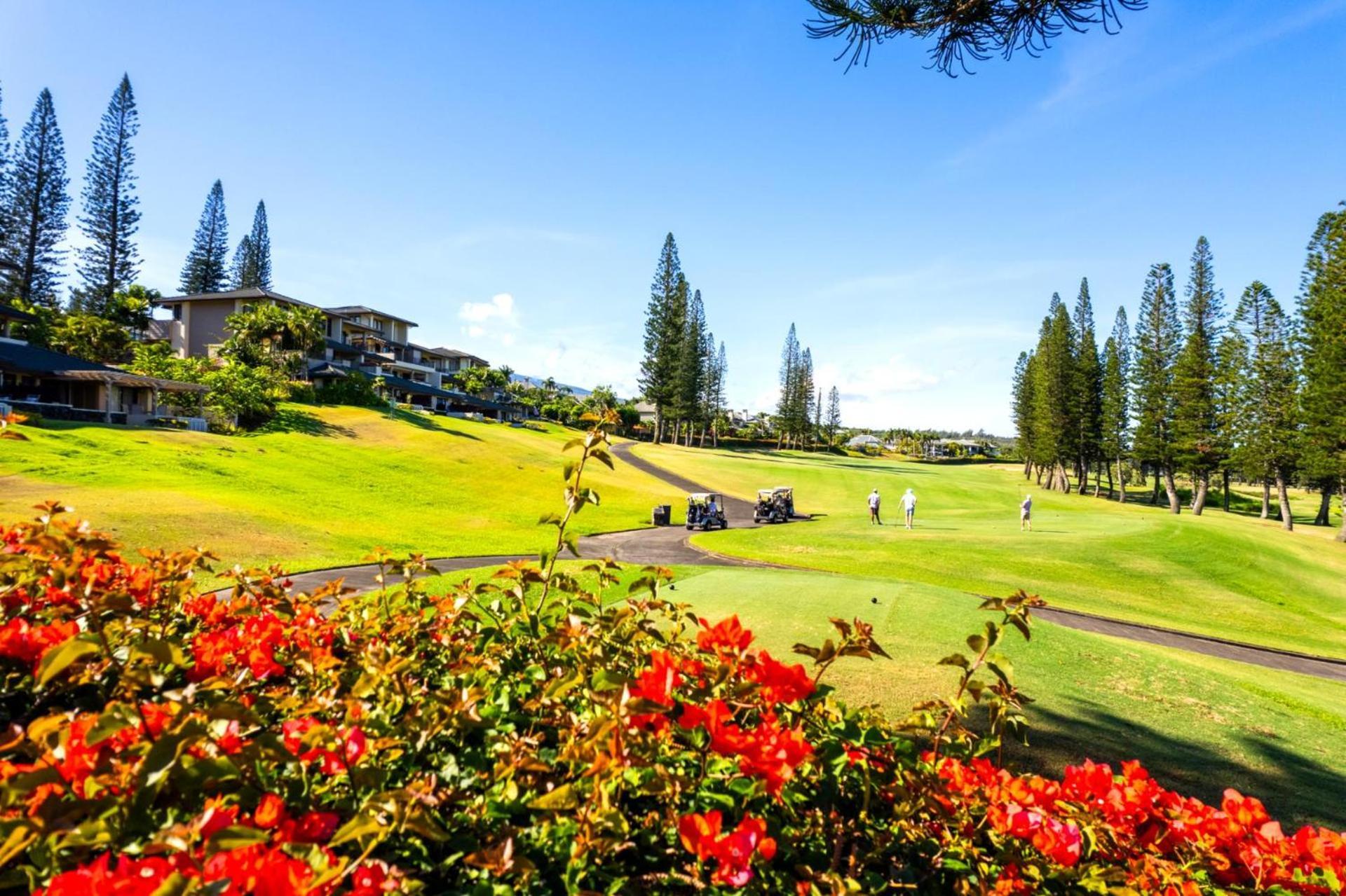Kbm Free Car Golf Kgv-22p2 Luxury Platinum With Panoramic Ocean Views * Kapalua