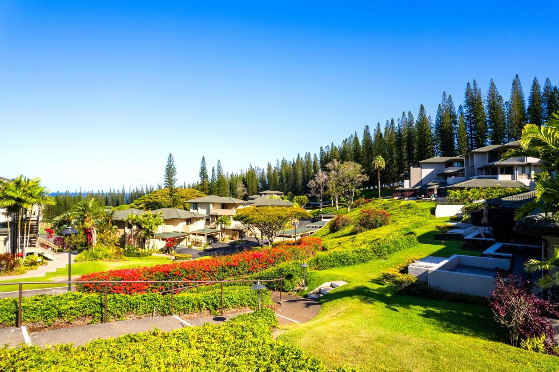 Kbm Free Car Golf Kgv-22p2 Luxury Platinum With Panoramic Ocean Views * Kapalua