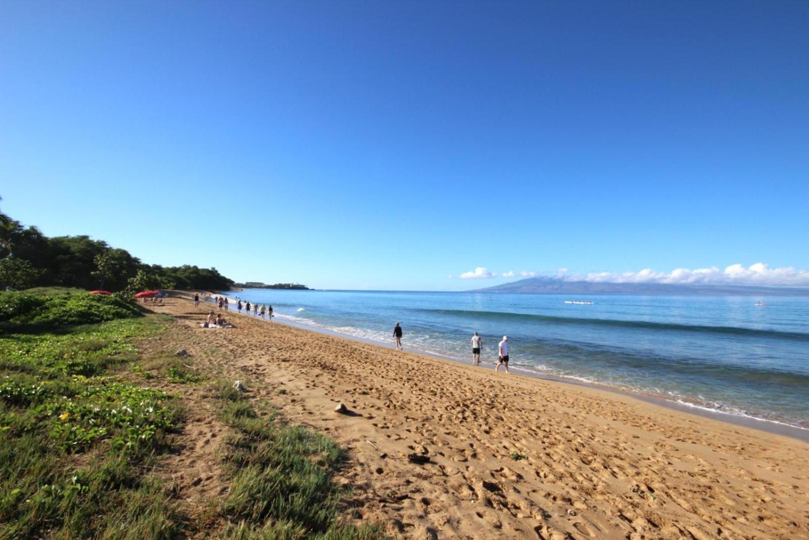 Kbm Free Car Honua Kai Hokulani Ocean View 2bedroom Hkh-423 Gorgeous With Ocean Views