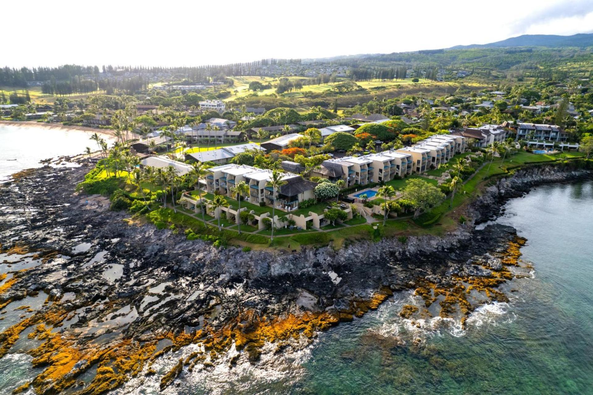 Apartment Kbm Free Car Napili Point Nap-c42 Gorgeous 2 Bedrooms Ocean View