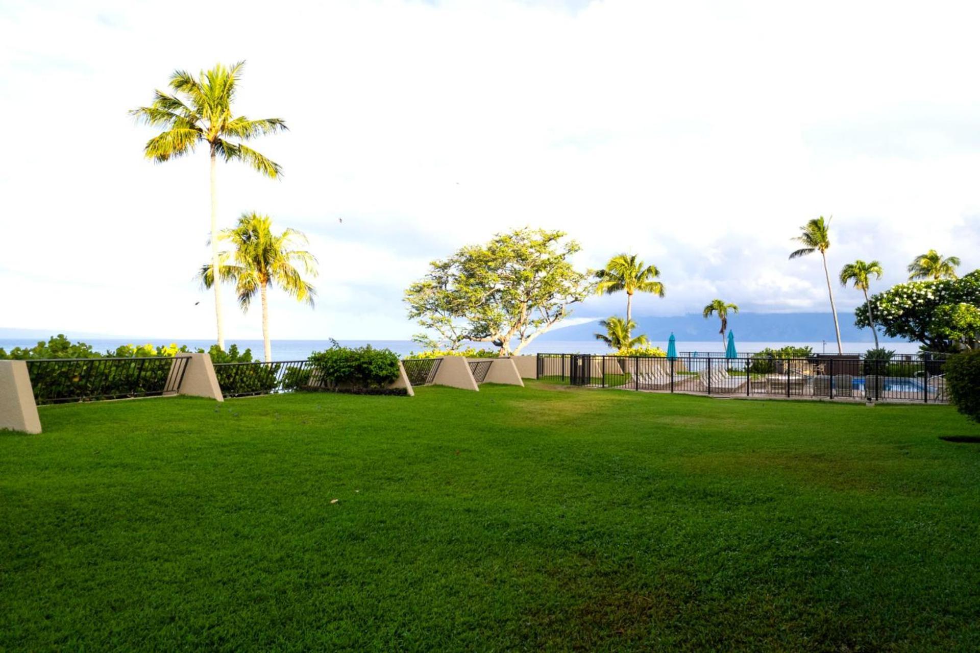 Apartment Kbm Free Car Napili Point Nap-c42 Gorgeous 2 Bedrooms Ocean View *