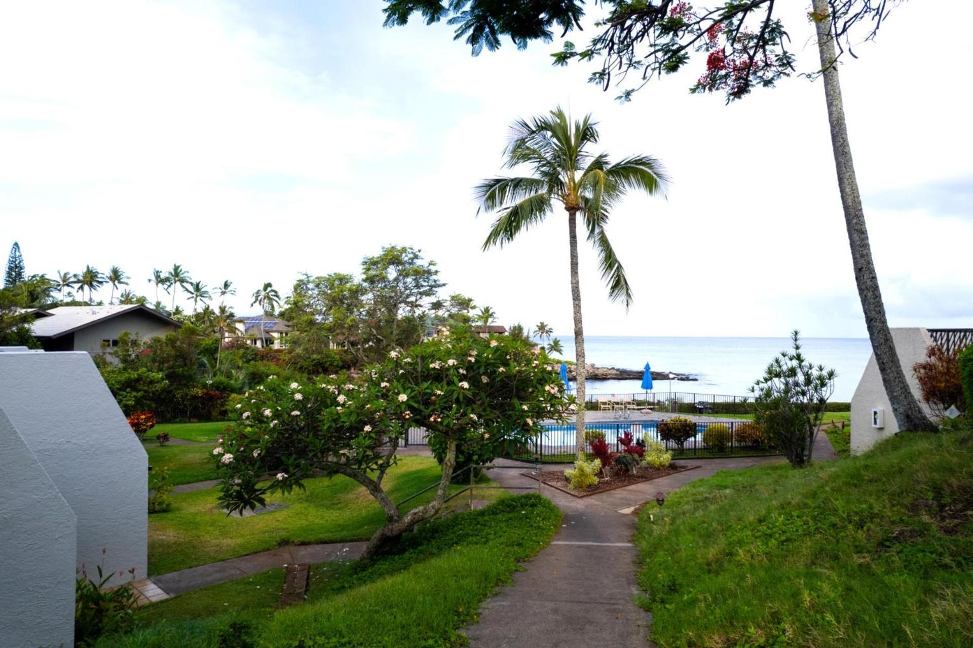 Kbm Free Car Napili Point Nap-c42 Gorgeous 2 Bedrooms Ocean View *